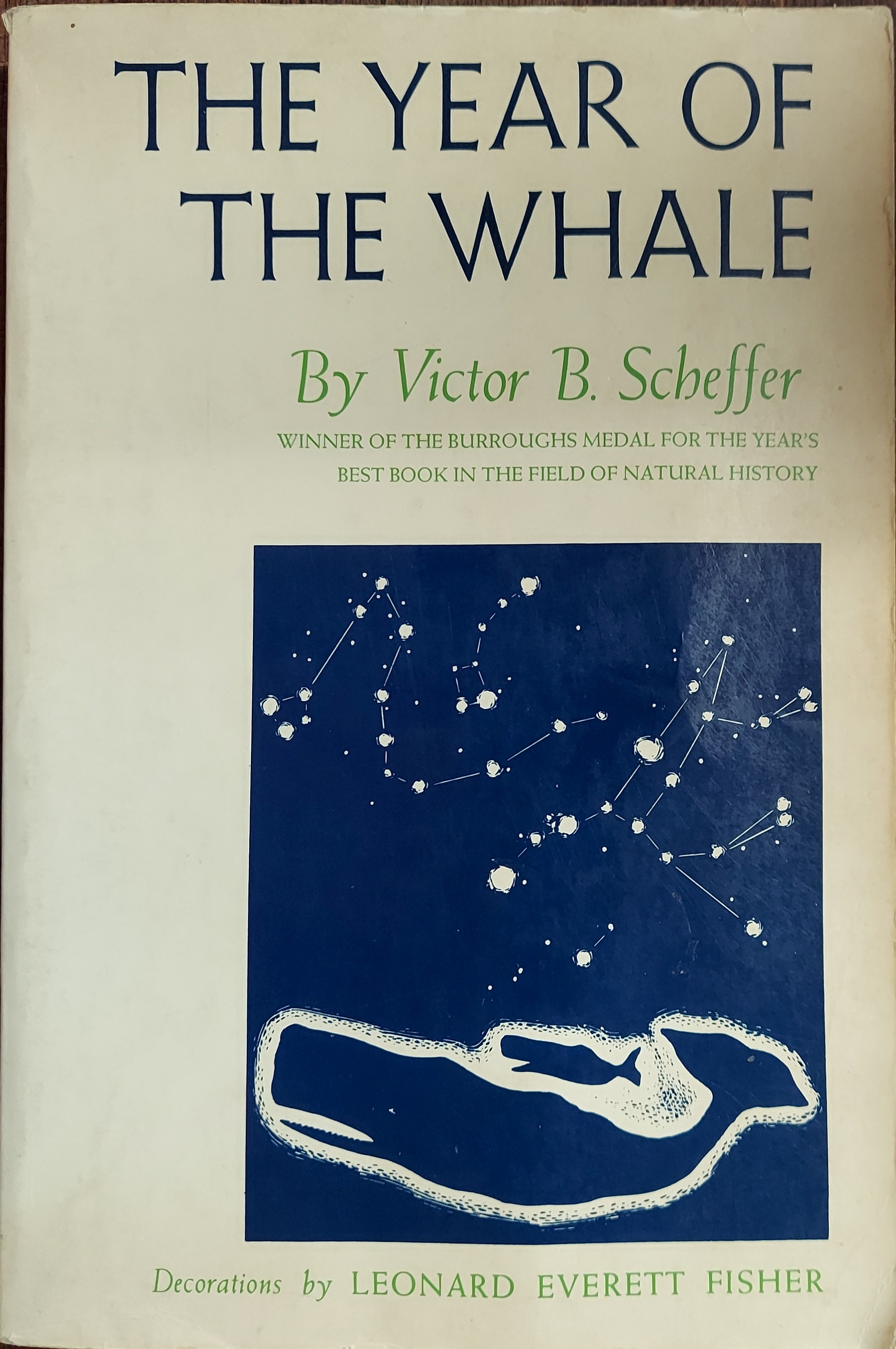 Image for The Year of the Whale The Year of the Whale