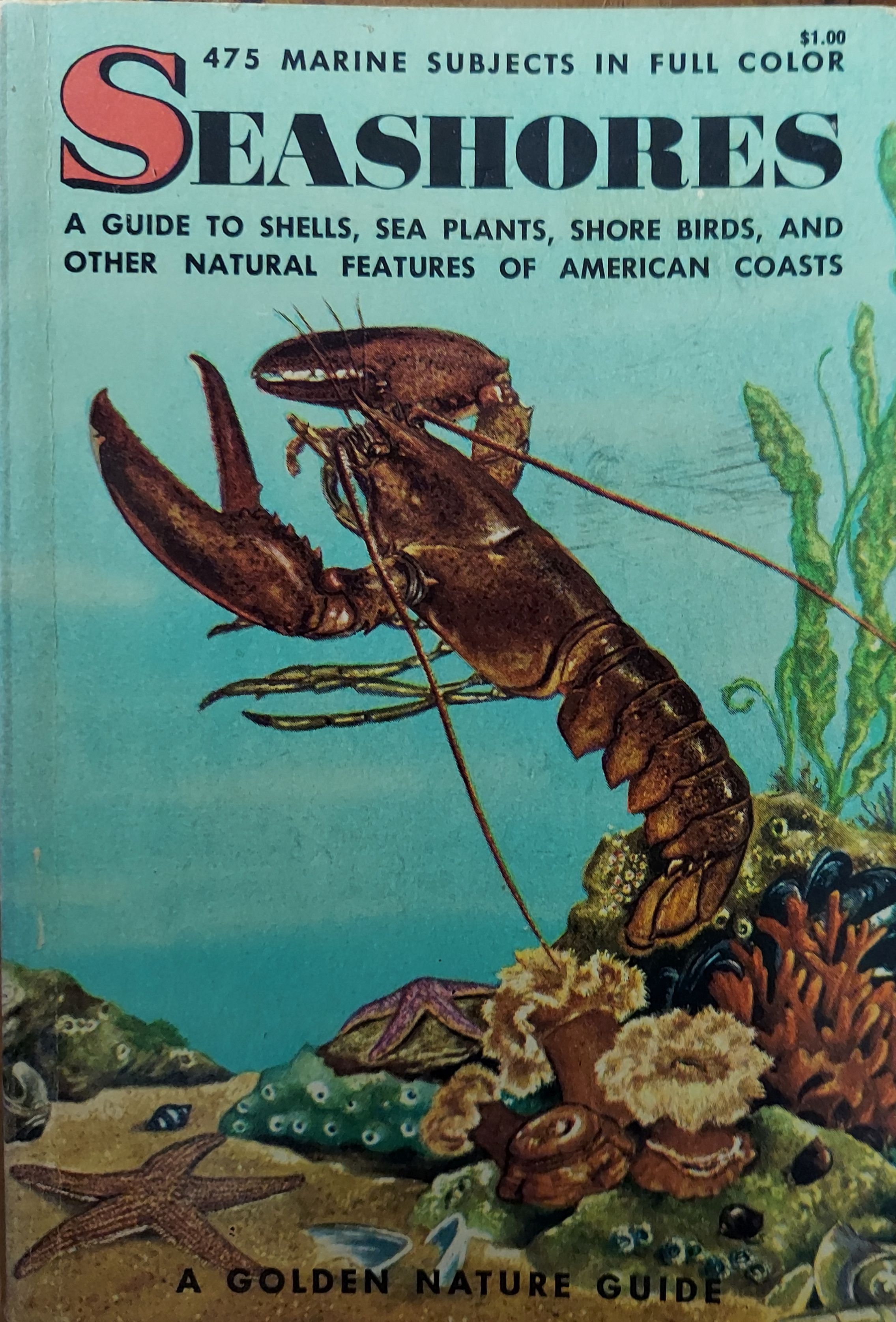 Seashores: Guide to Animals and Plants Along the Beaches