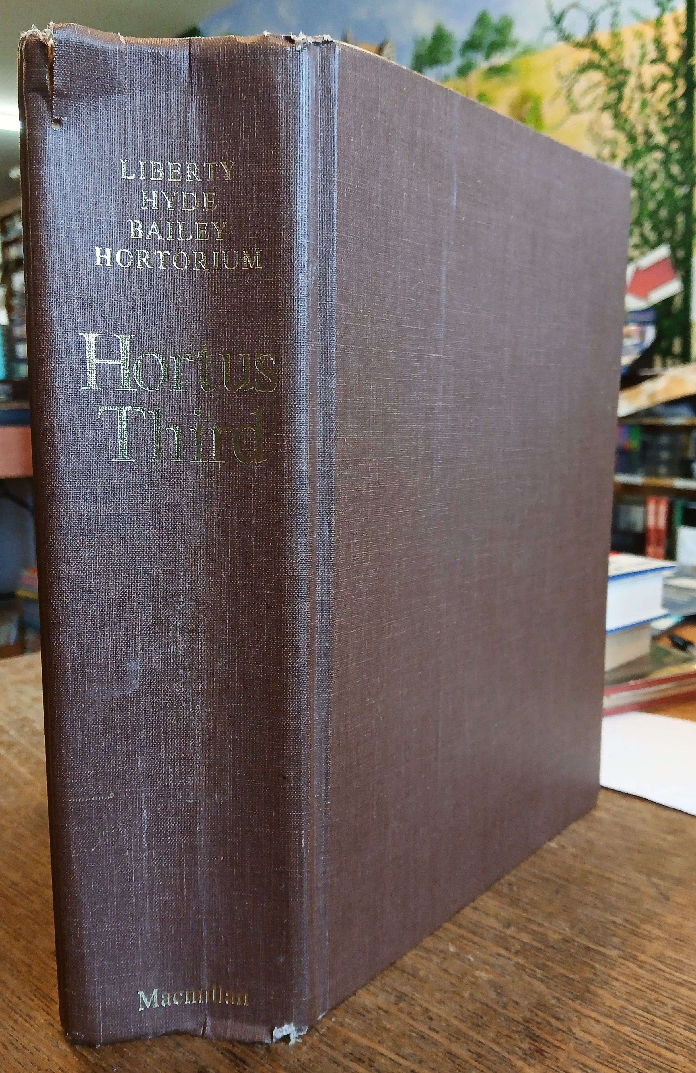 Hortus Third: A Consise Dictionary of Plants Cultivated in the United States and Canada