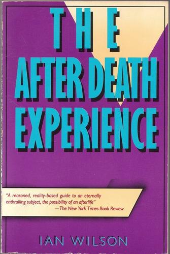 The After Death Experience: The Physics of the Non-Physical