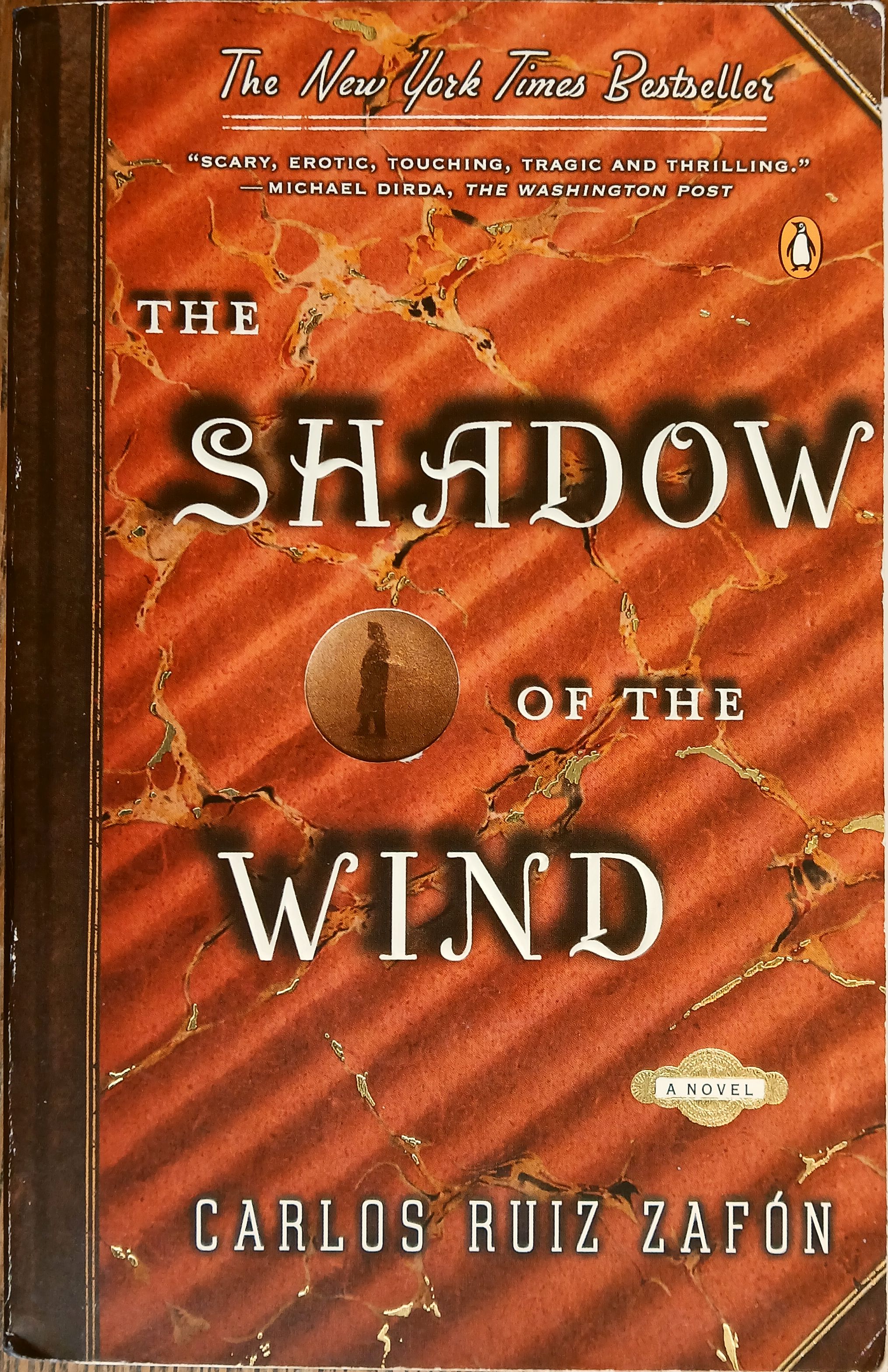 The Shadow of the Wind