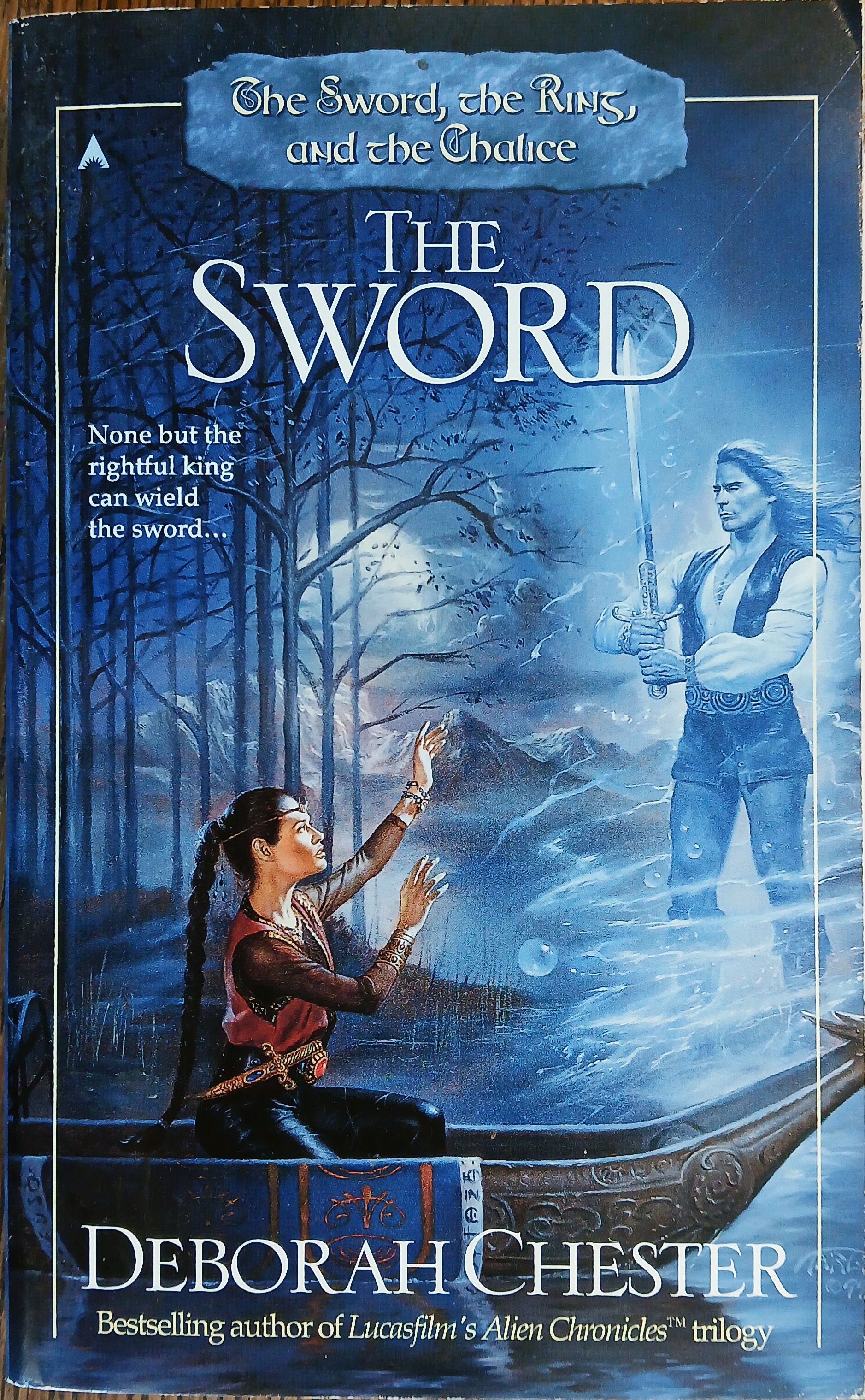 The Sword (The Sword, the Ring, and the Chalice Book 1)