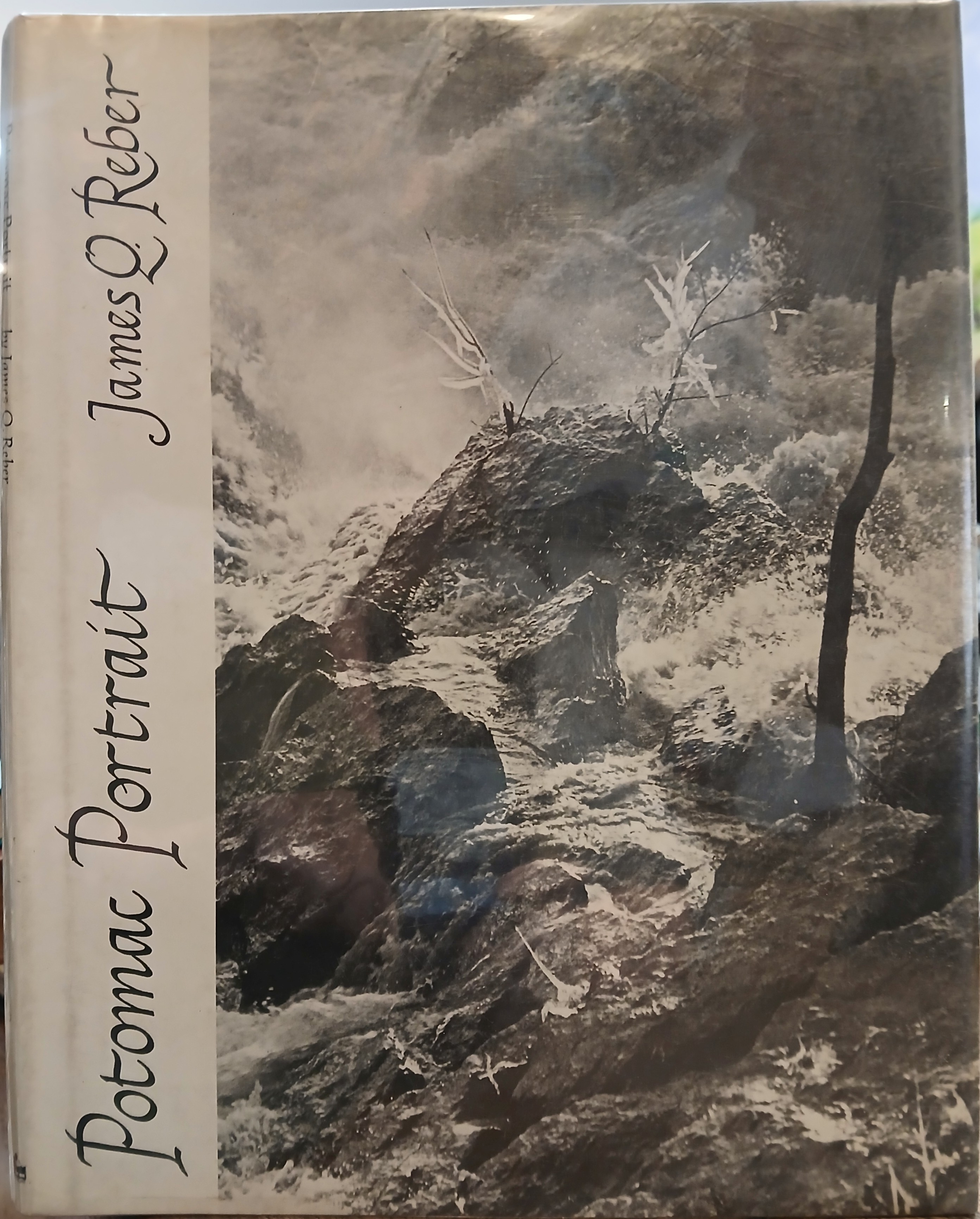 Potomac Portrait