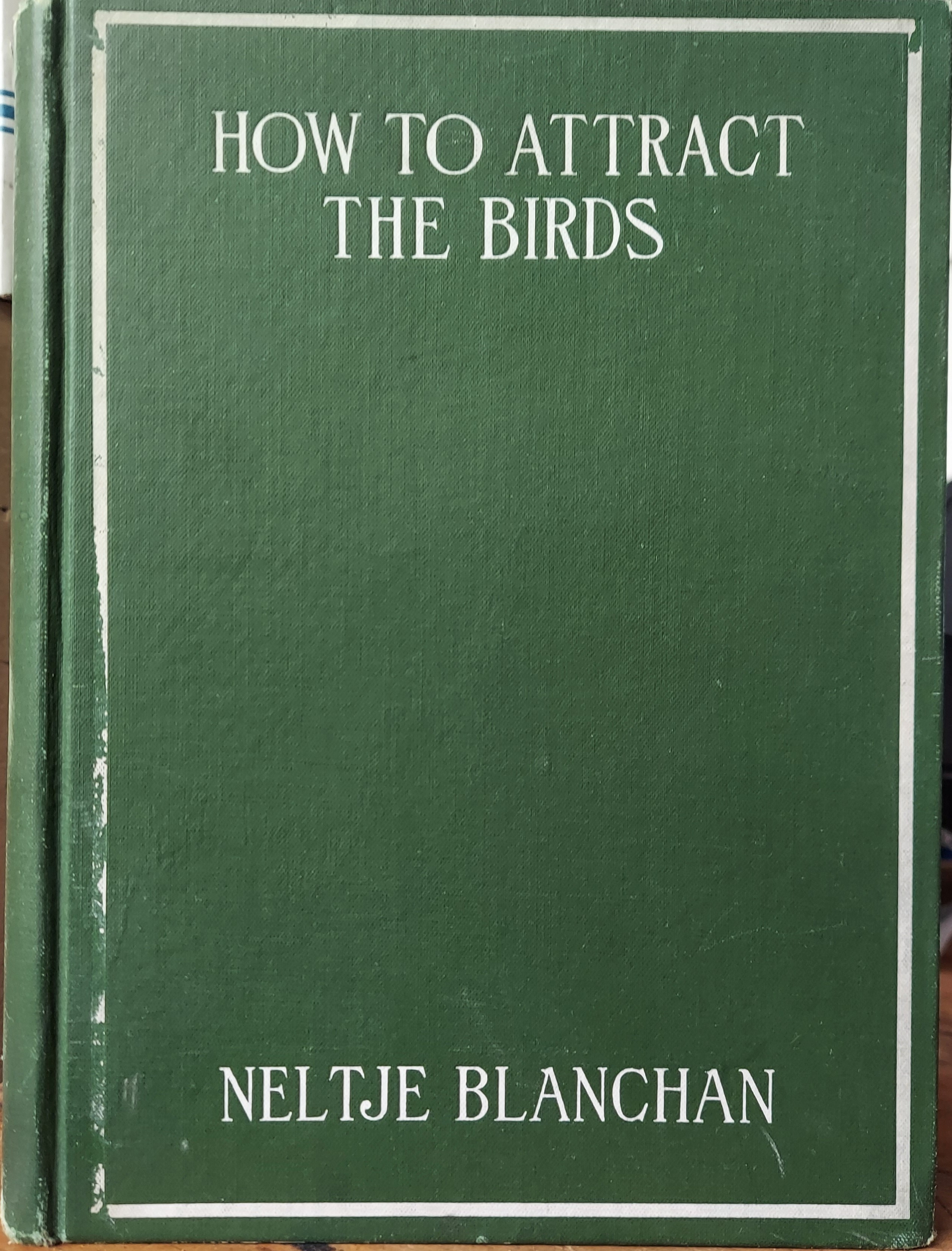 How to Attract the Birds and Other Talks About Bird Neighbours