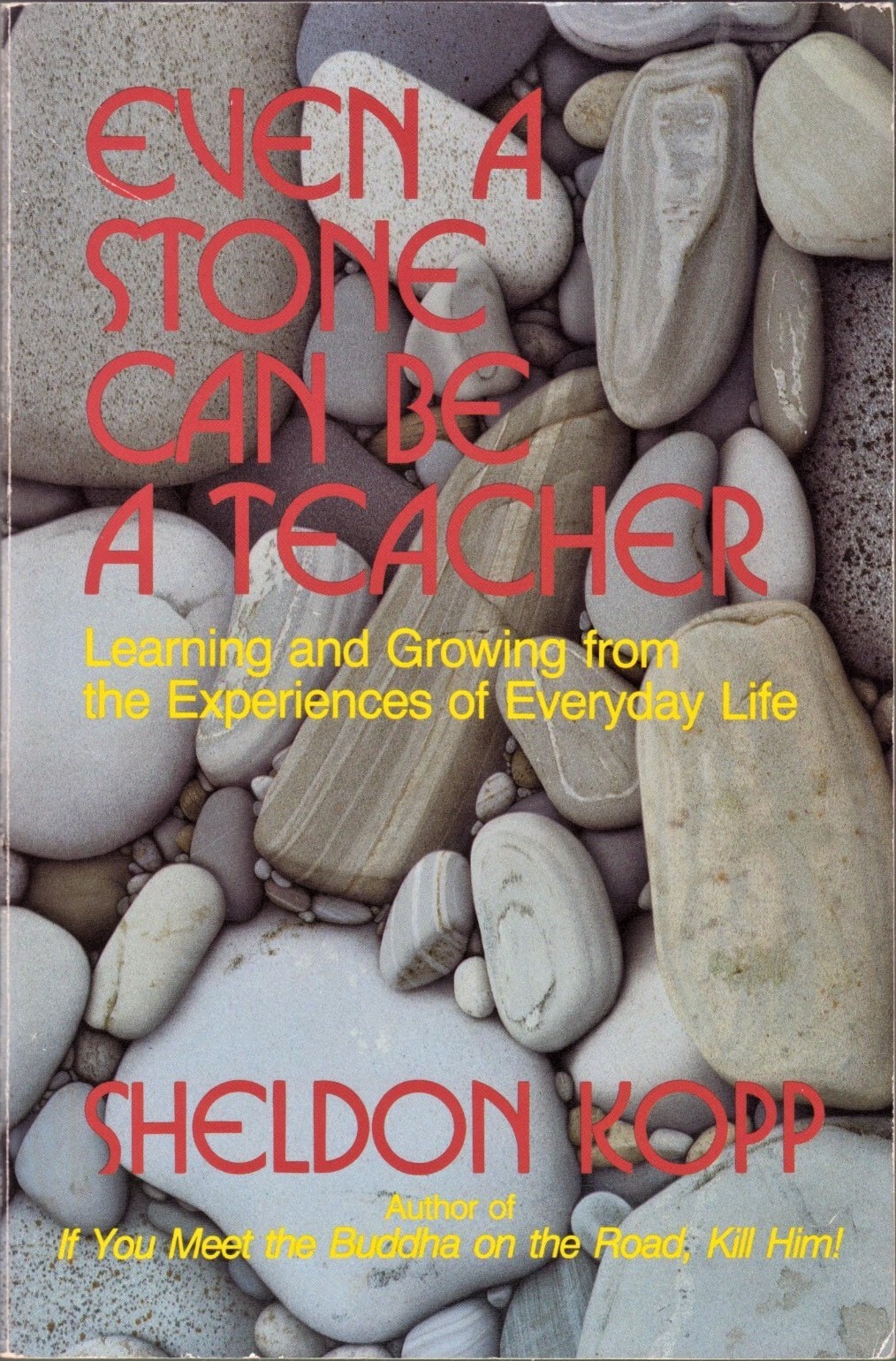 Even a Stone Can Be a Teacher: Learning and Growing from the Experiences of Everyday Life