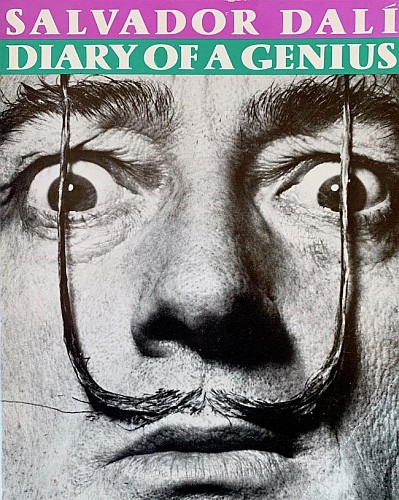 Diary of a Genius