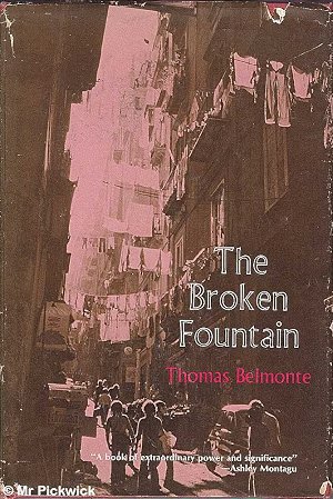 Image for The Broken Fountain The Broken Fountain