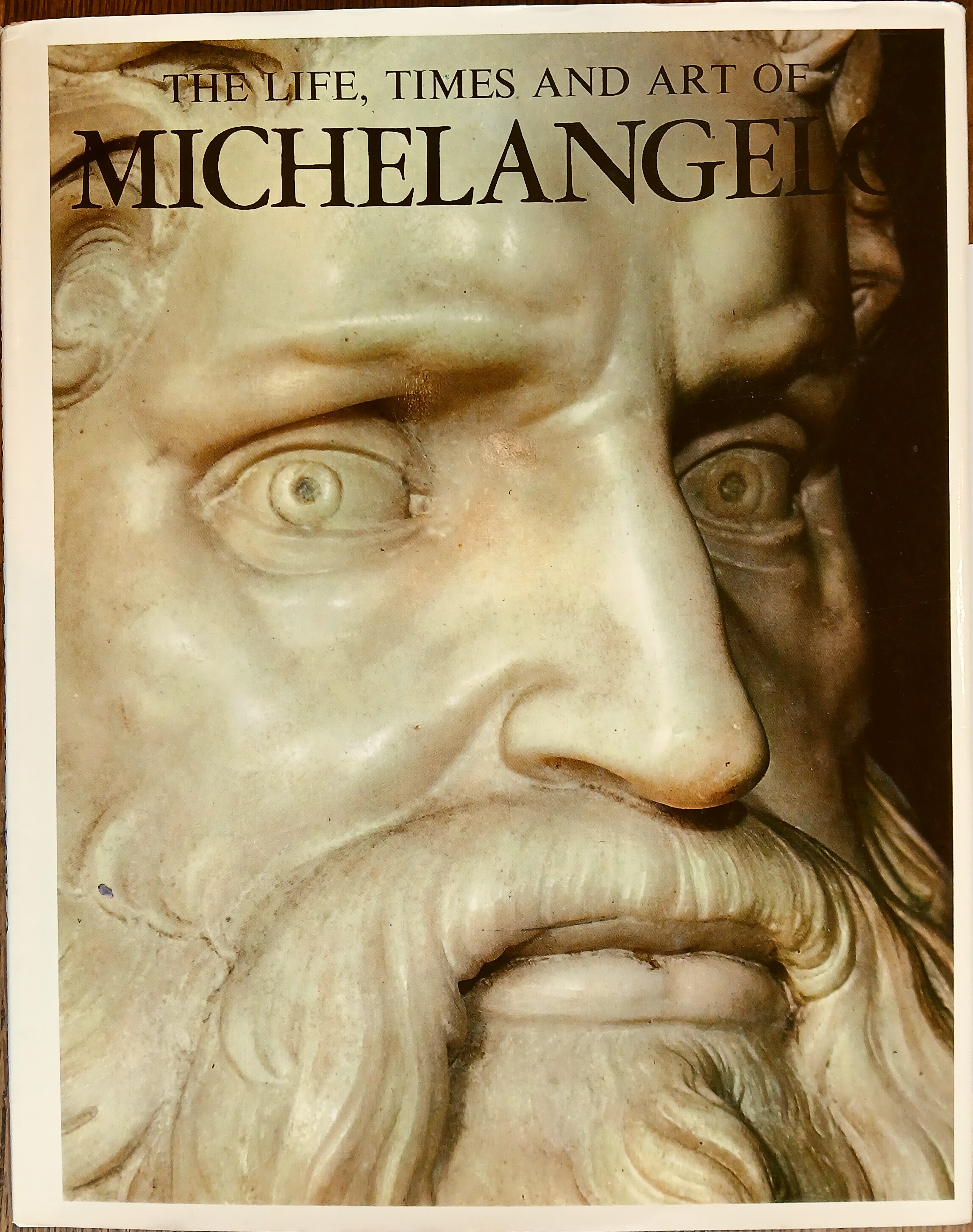 The Life, Times and Art of Michelangelo