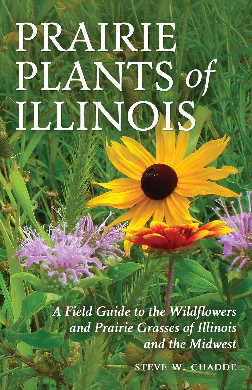 Prairie Plants of Illinois :A Field Guide to the Wildflowers and Prairie Grasses of Illinois and the Midwest