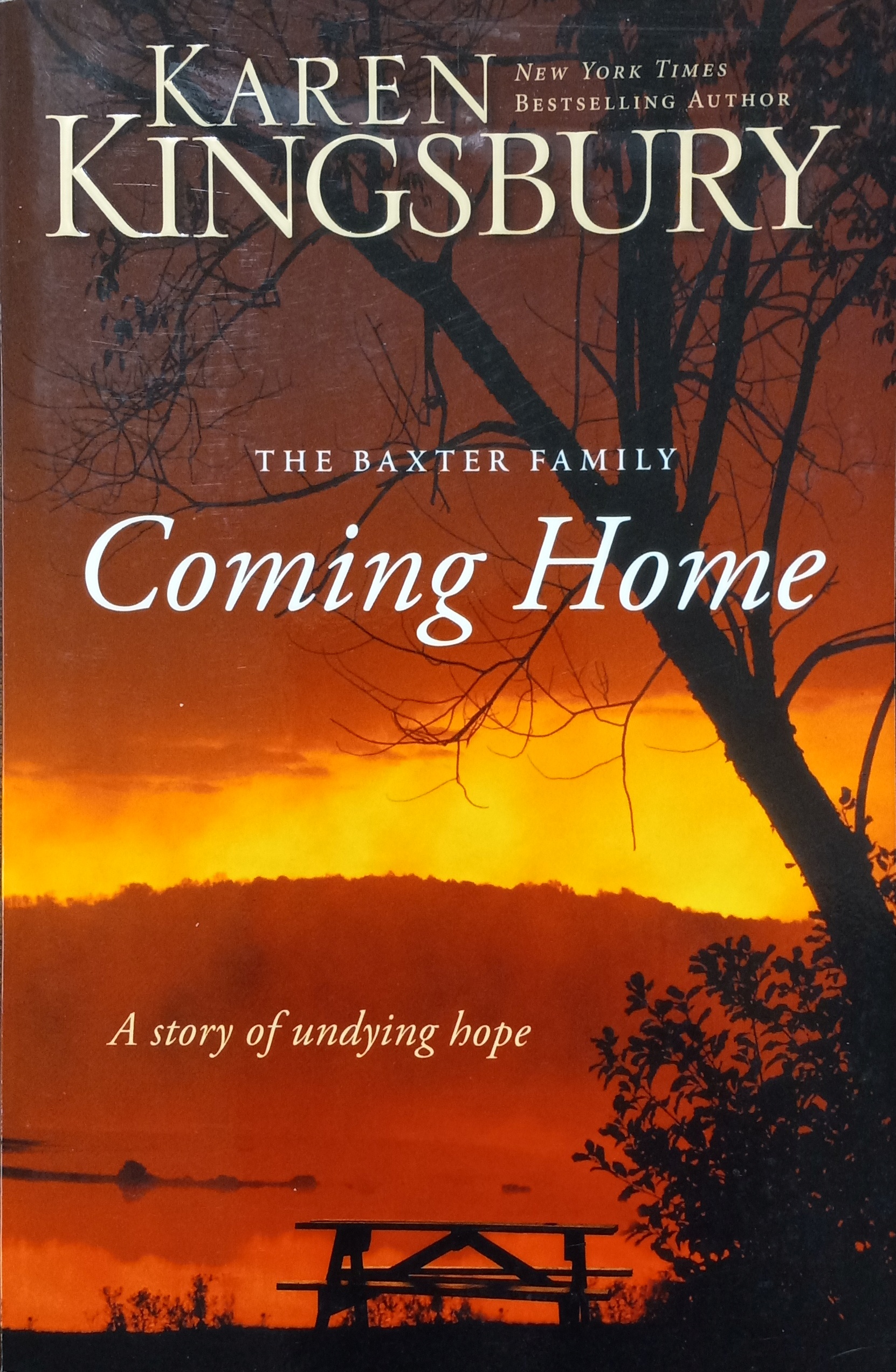 Coming Home (The Baxter Family)
