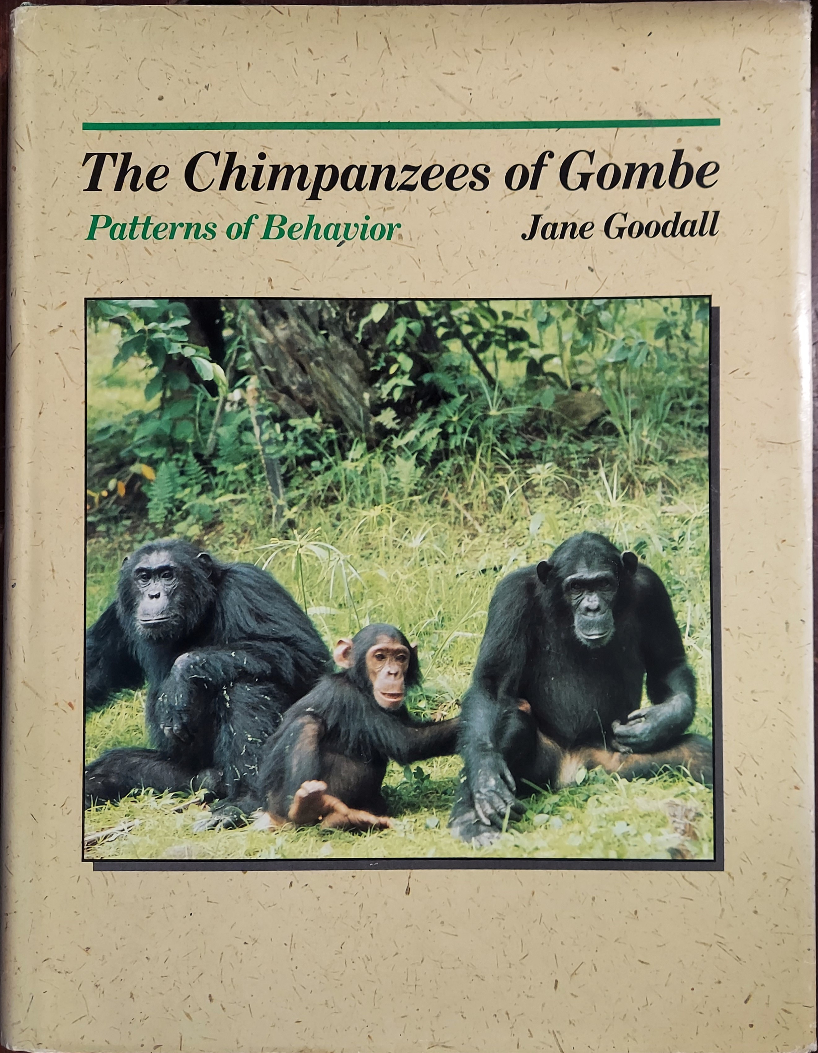 The Chimpanzees of Gombe: Patterns of Behavior