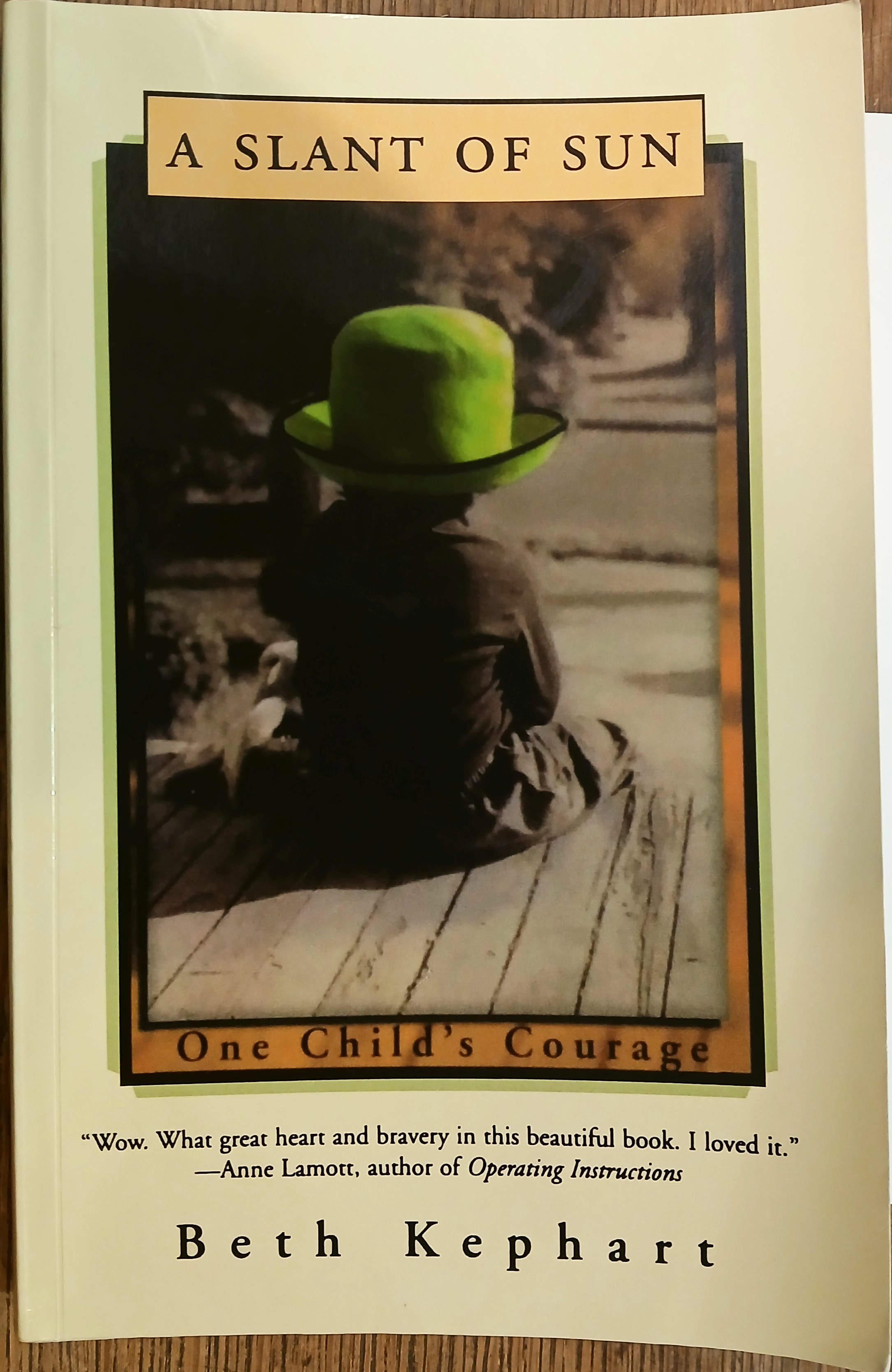 A Slant of Sun: One Child's Courage