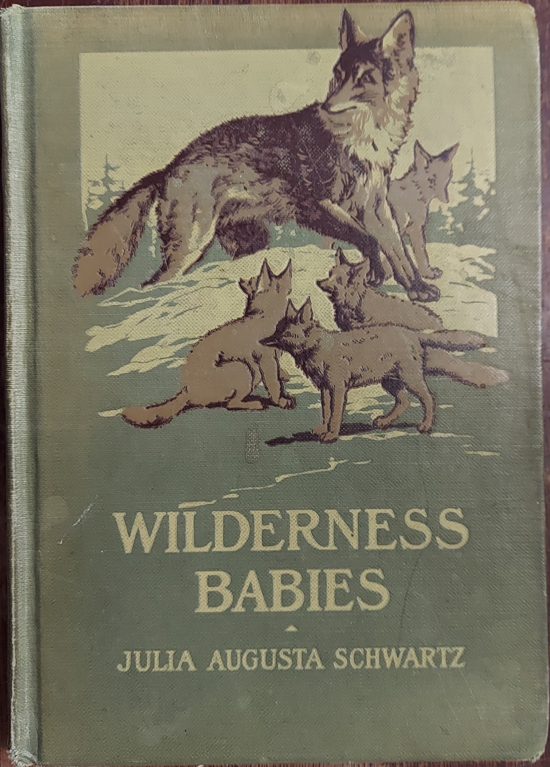 Wilderness Babies