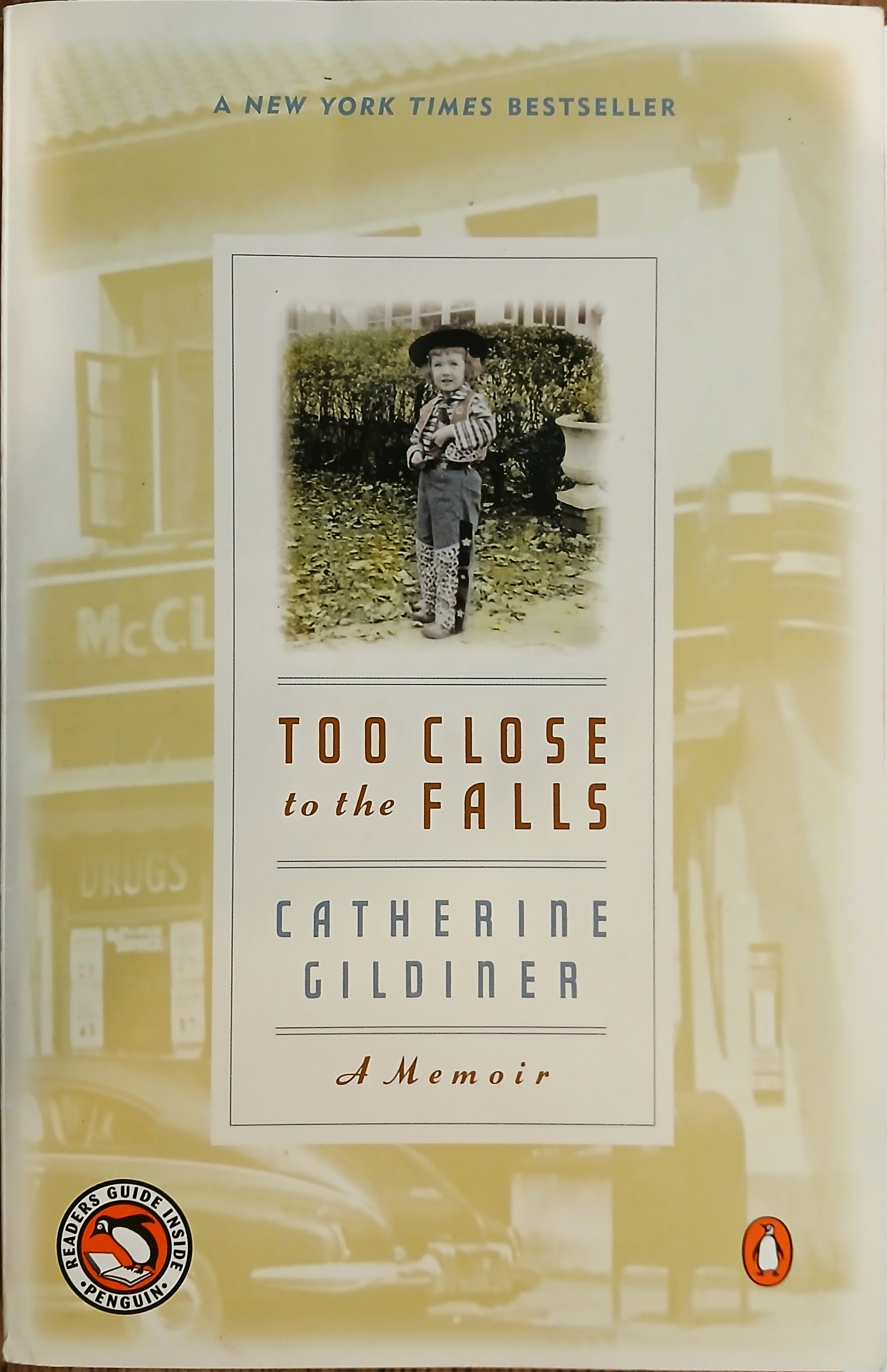 Too Close to the Falls