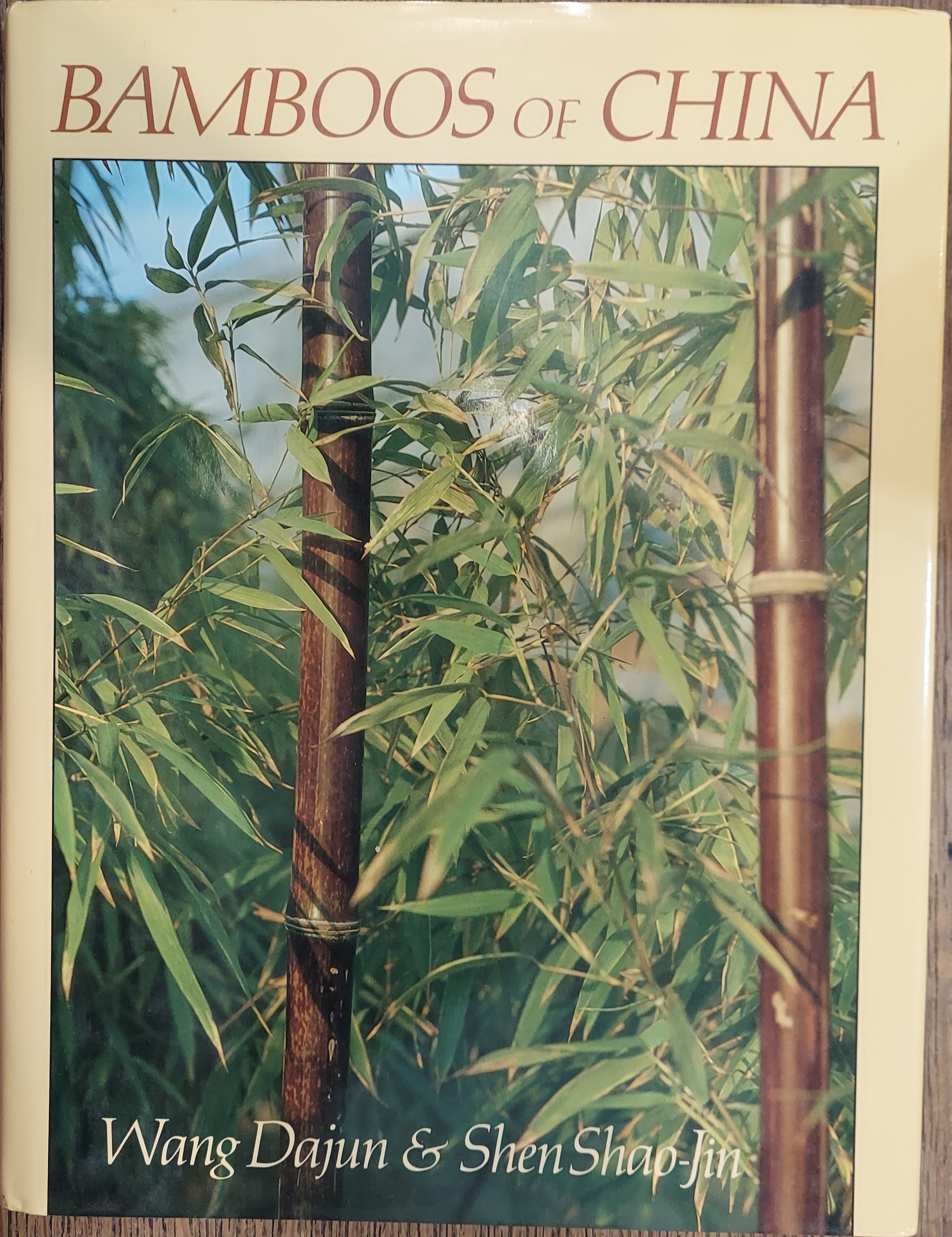 Bamboos of China