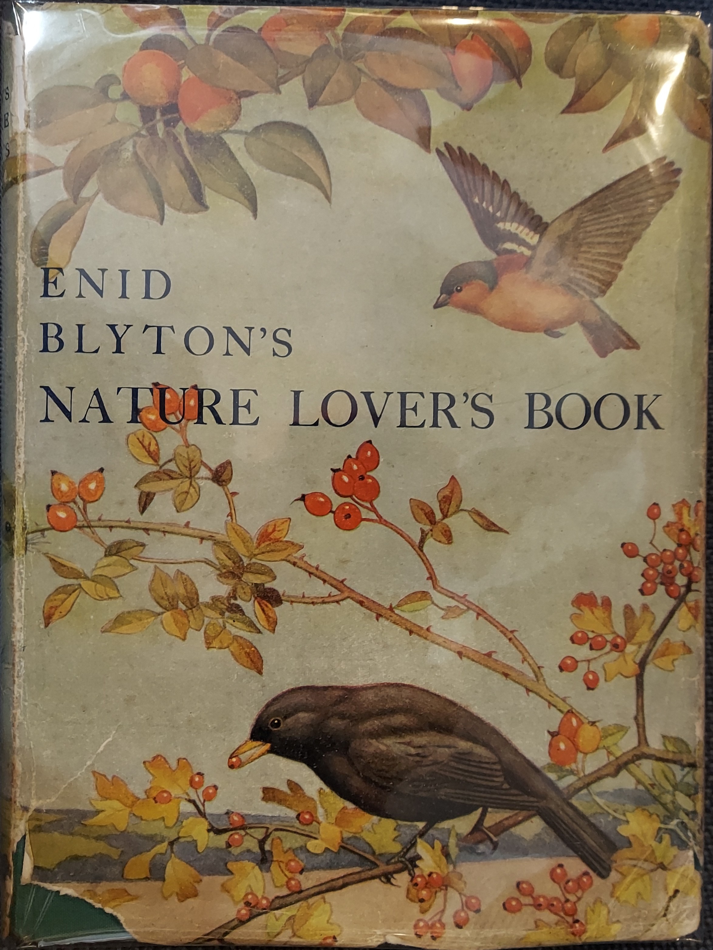 Enid Blyton's Nature Lover's Book