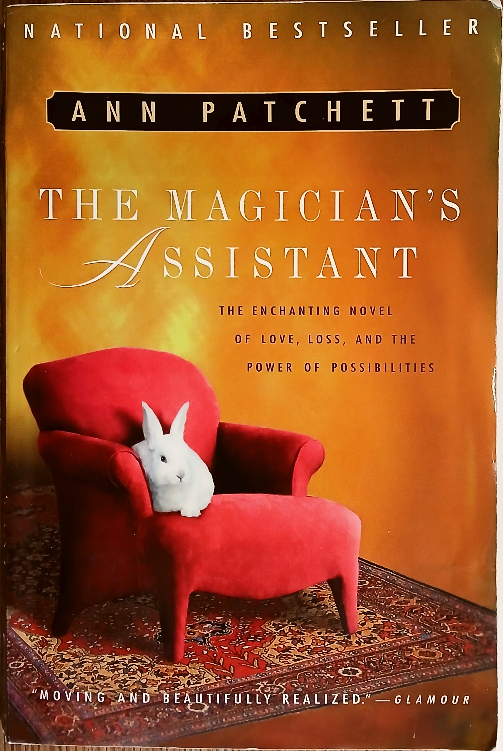 The Magician's Assistant