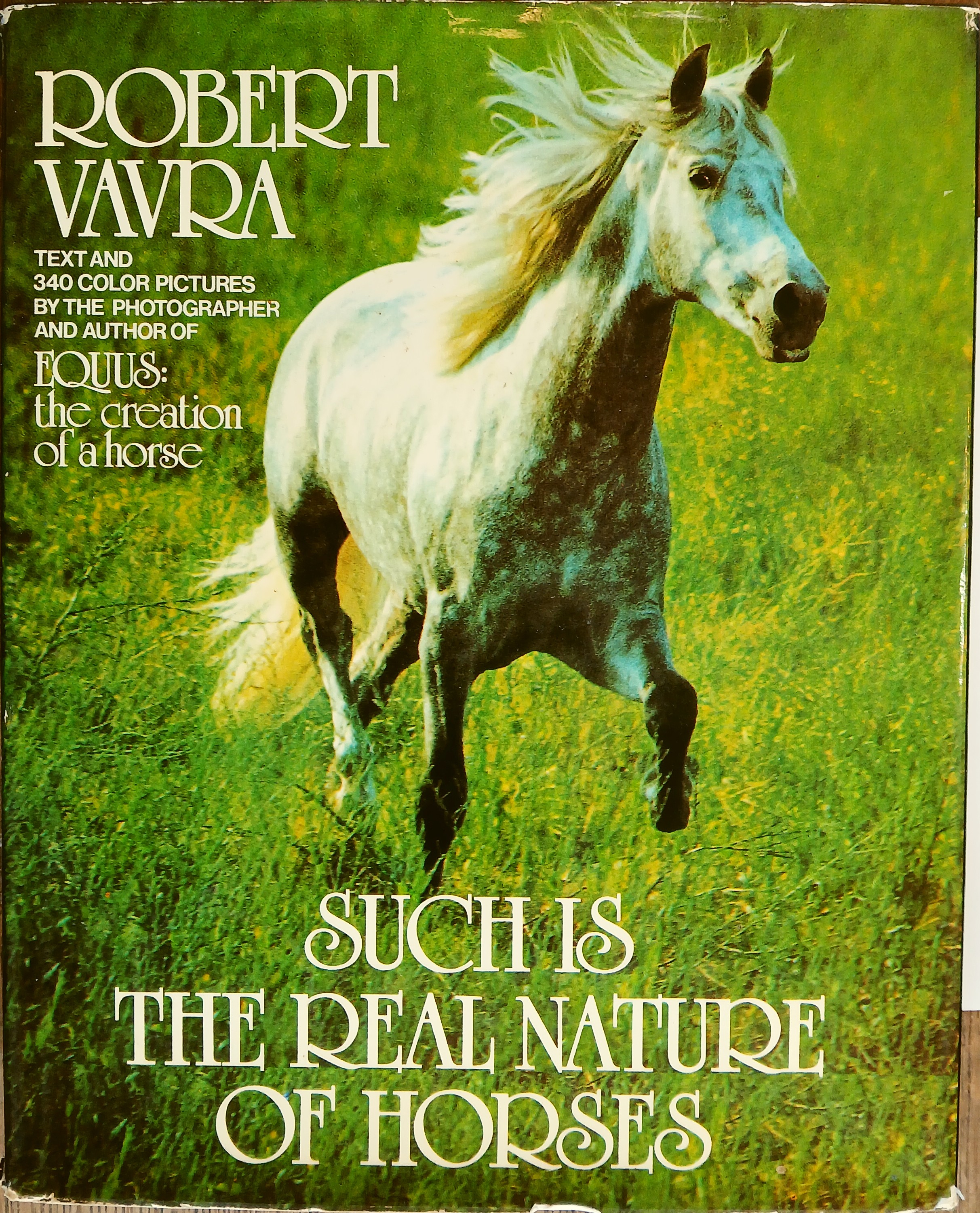 Such is the Real Nature of Horses - Signed