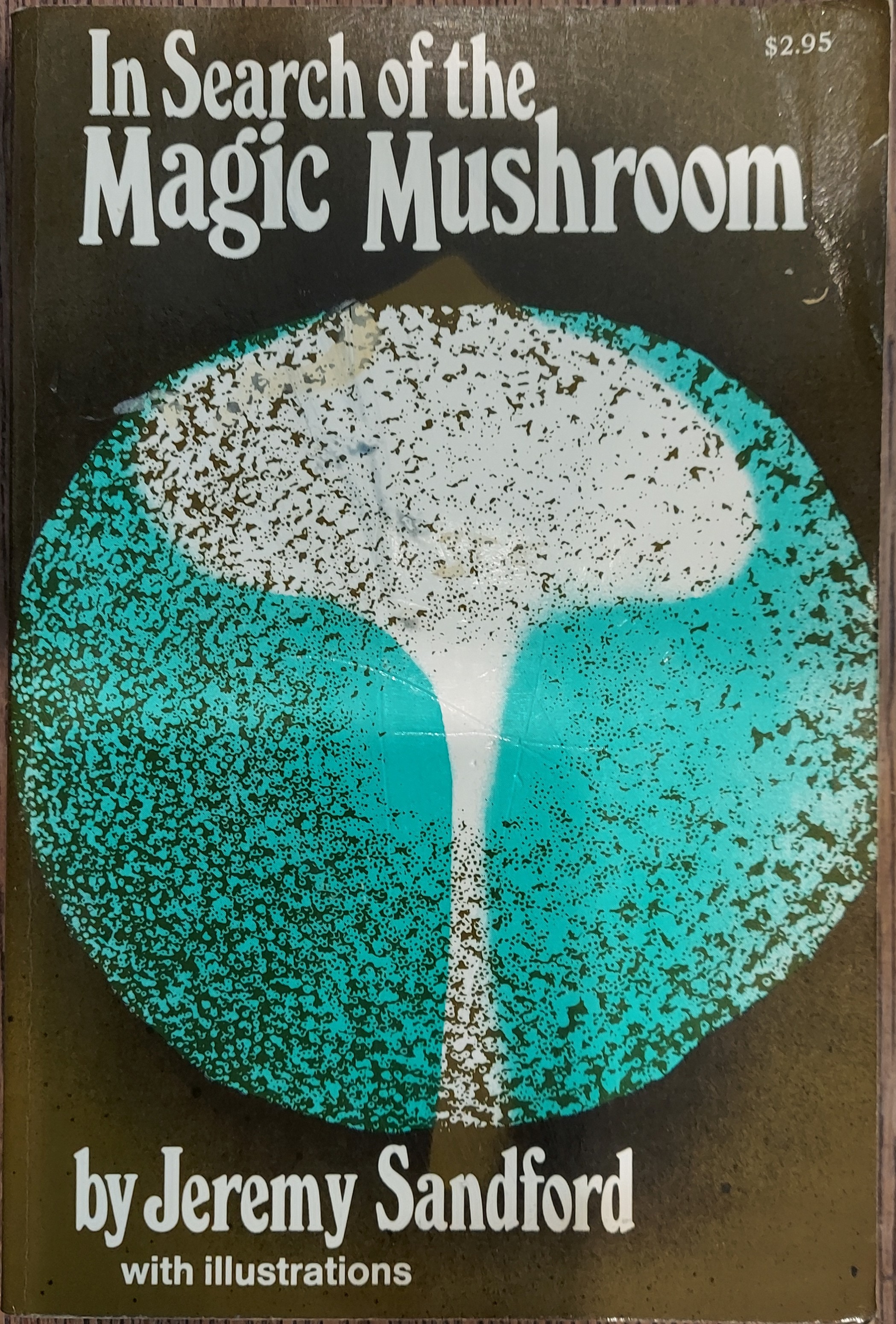 In Search of the Magic Mushroom : A Journey Through Mexico
