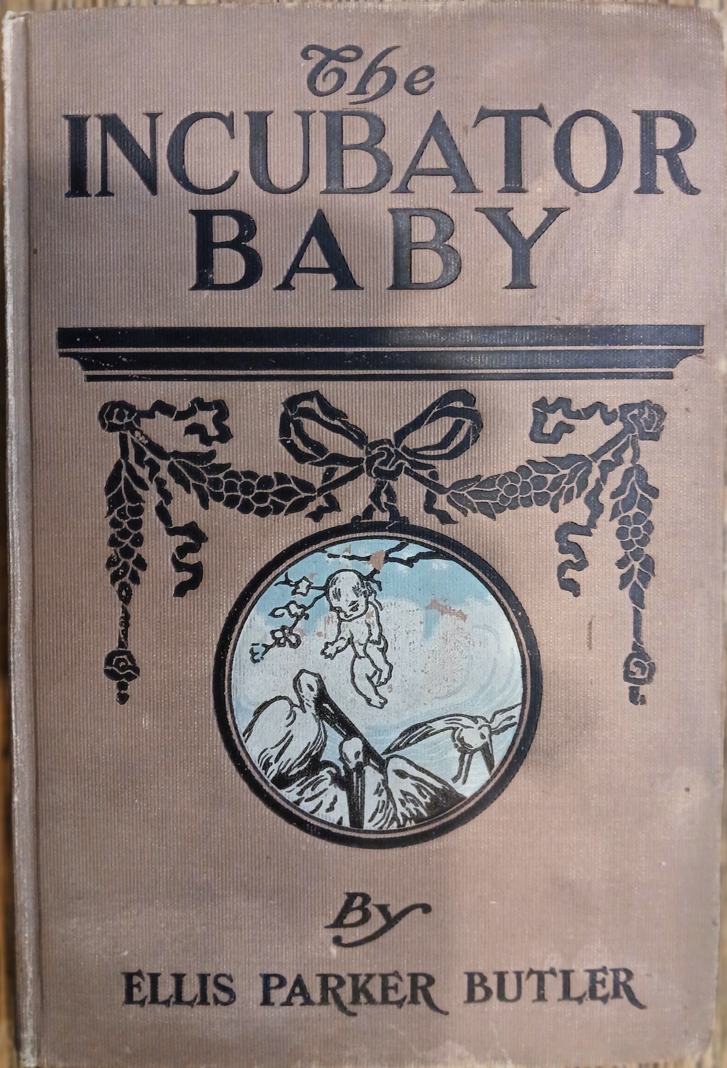 The Incubator Baby