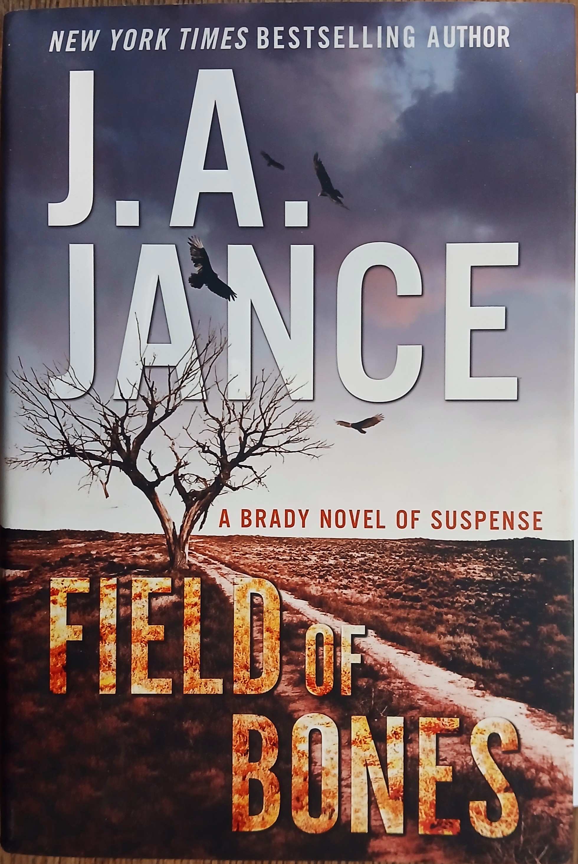 Field of Bones (A Brady Novel of Suspense)