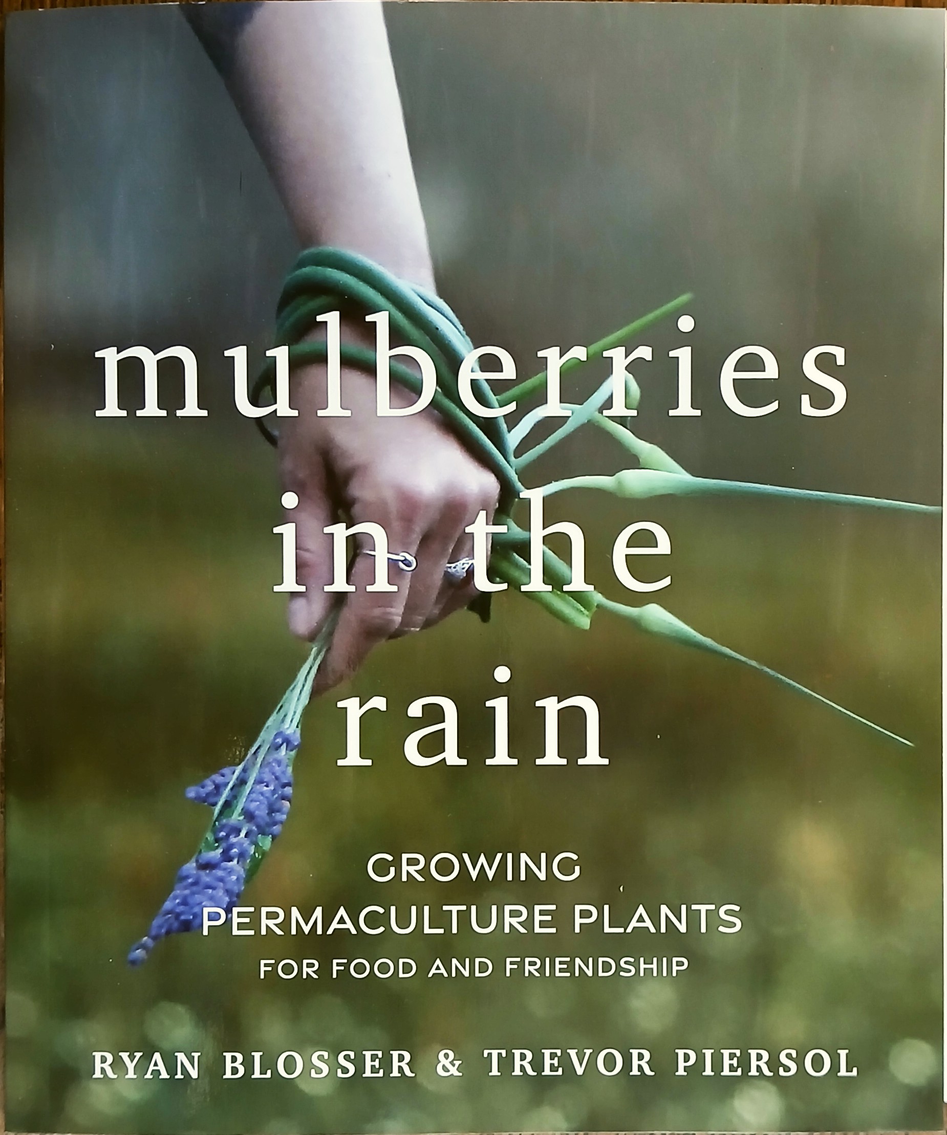 Mulberries in the Rain : Growing Permaculture Plants for Food and Friendship