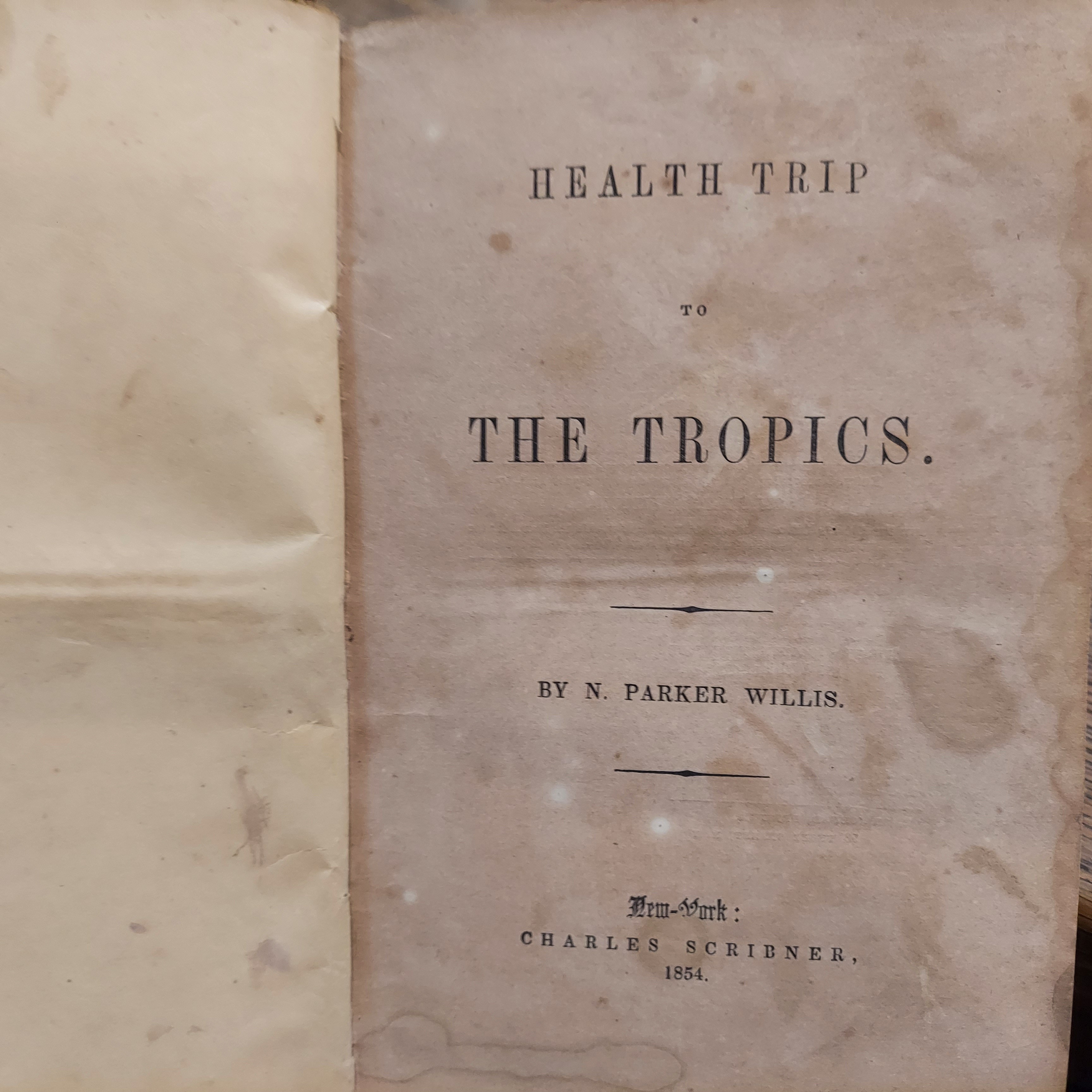 Health Trip to The Tropics