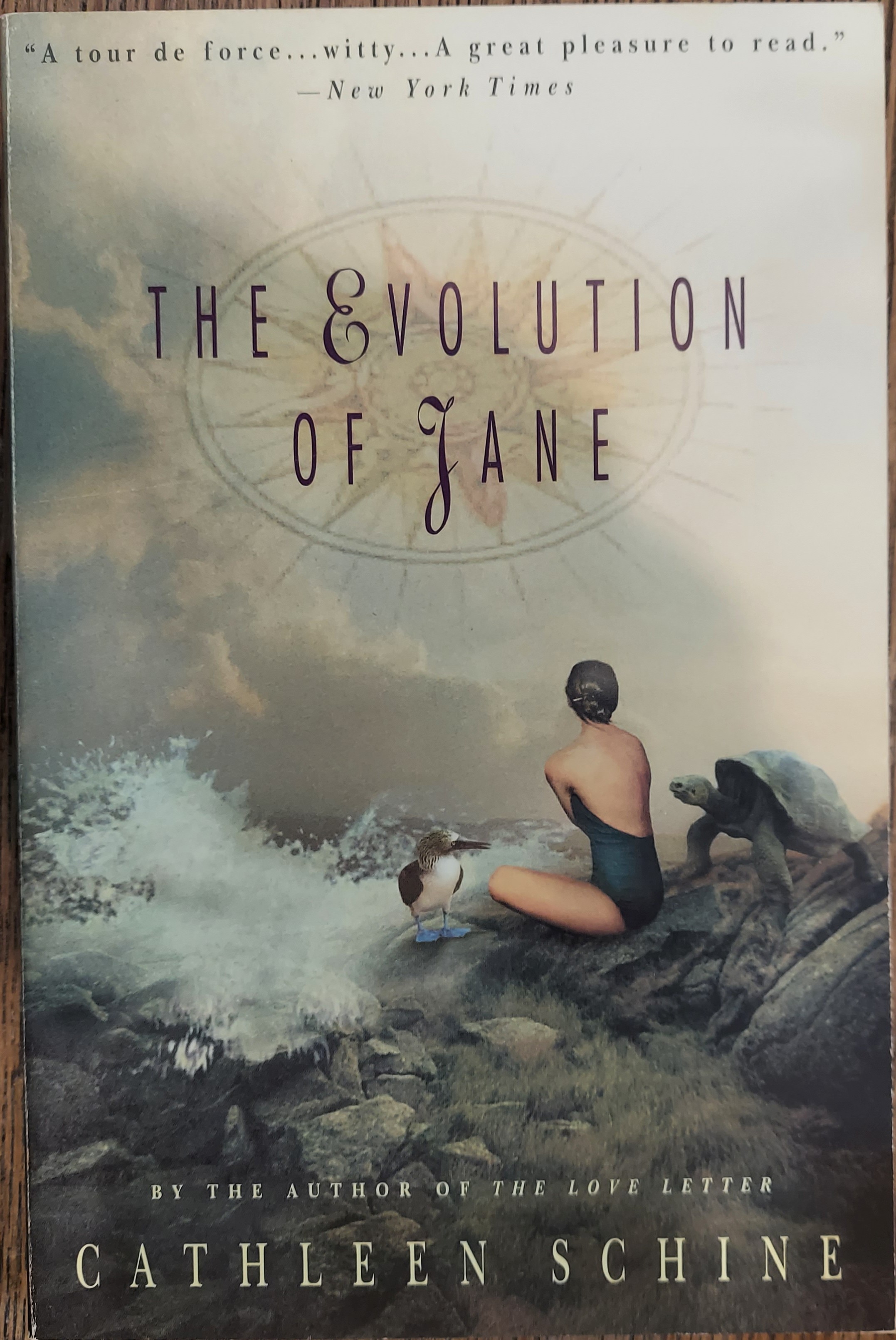 The Evolution of Jane