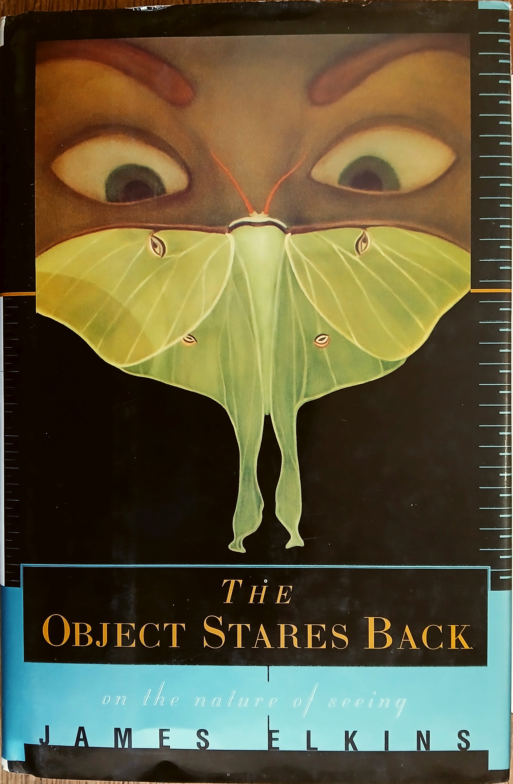 The Object Stares Back: On the Nature of Seeing