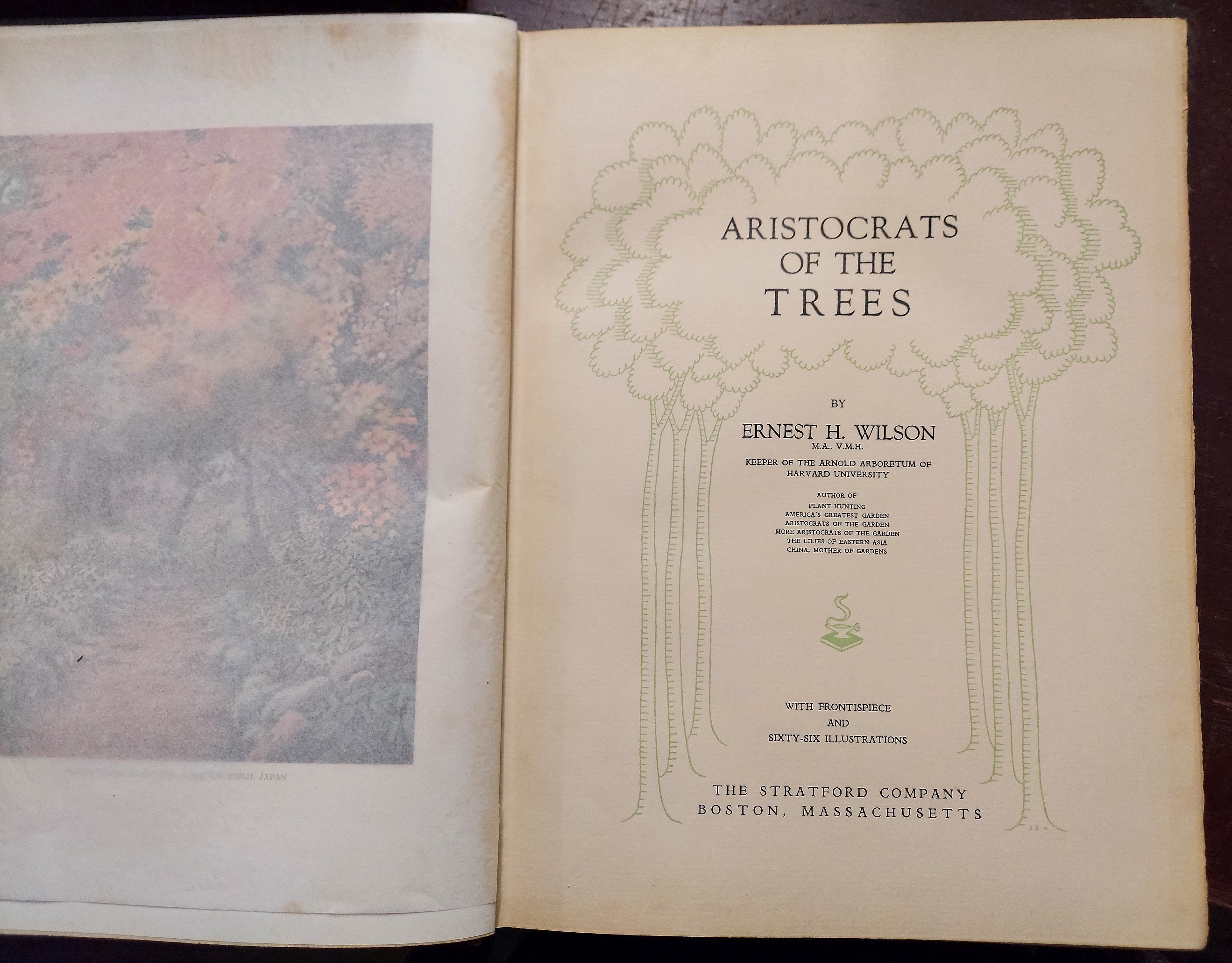 Aristocrats of the Trees
