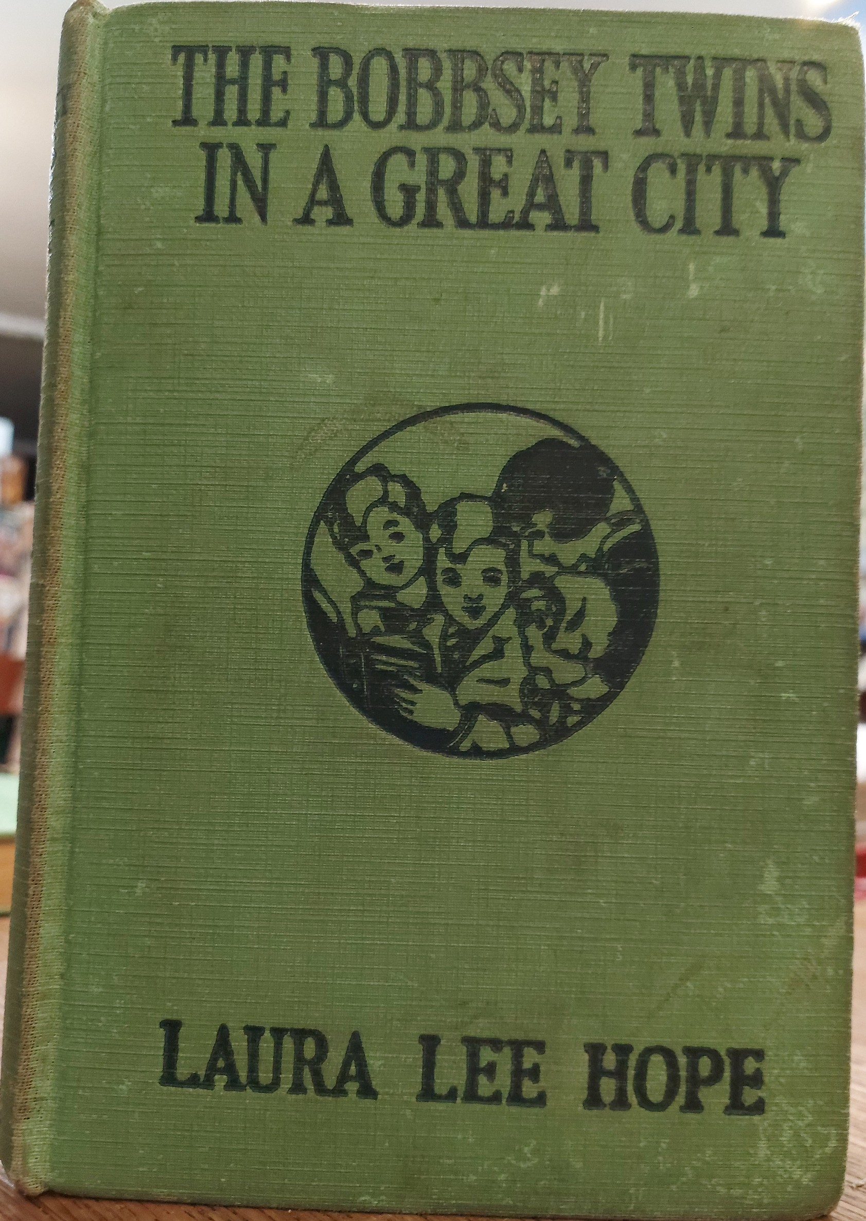 The Bobbsey Twins in a Great City