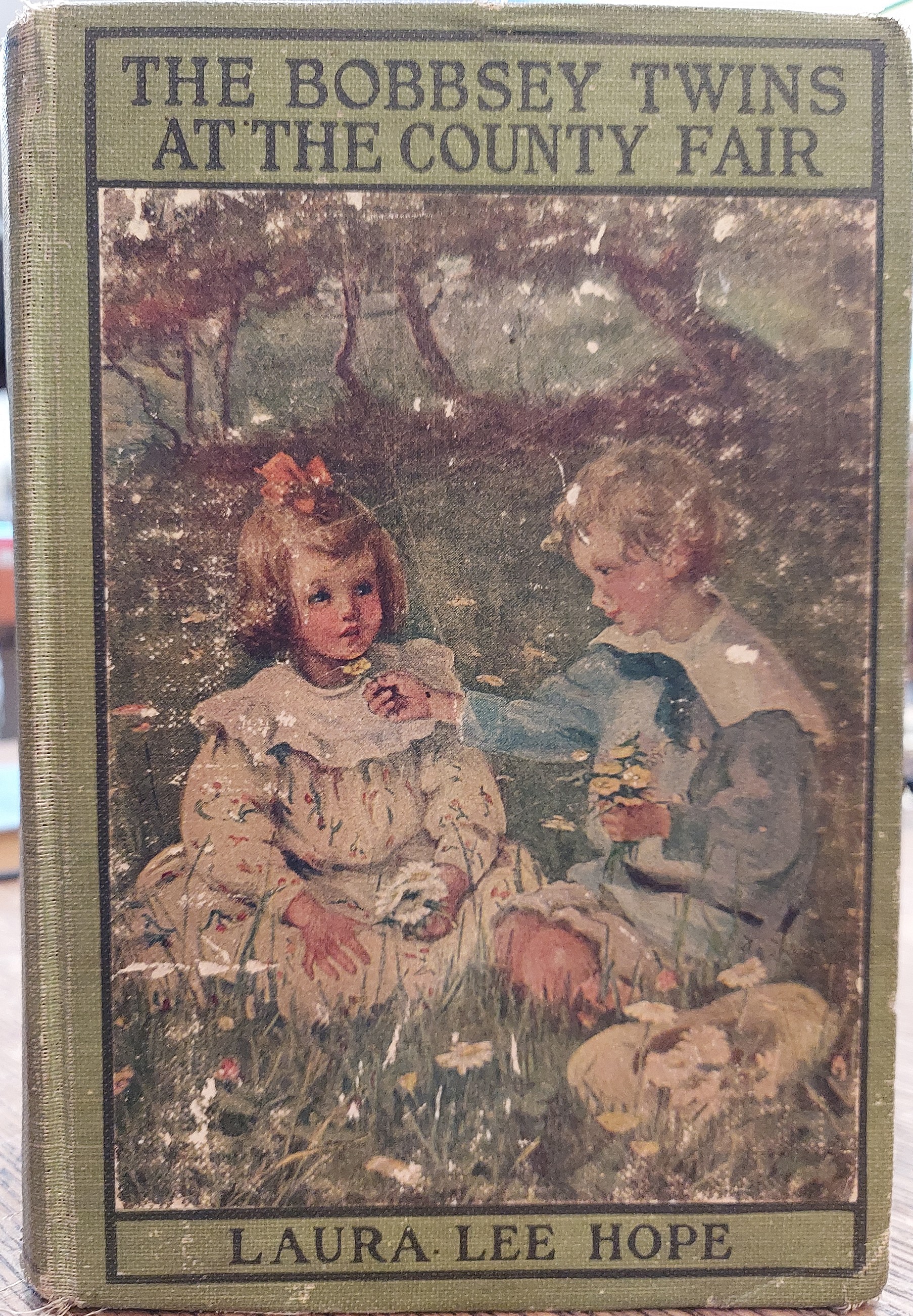 The Bobbsey Twins at the County Fair