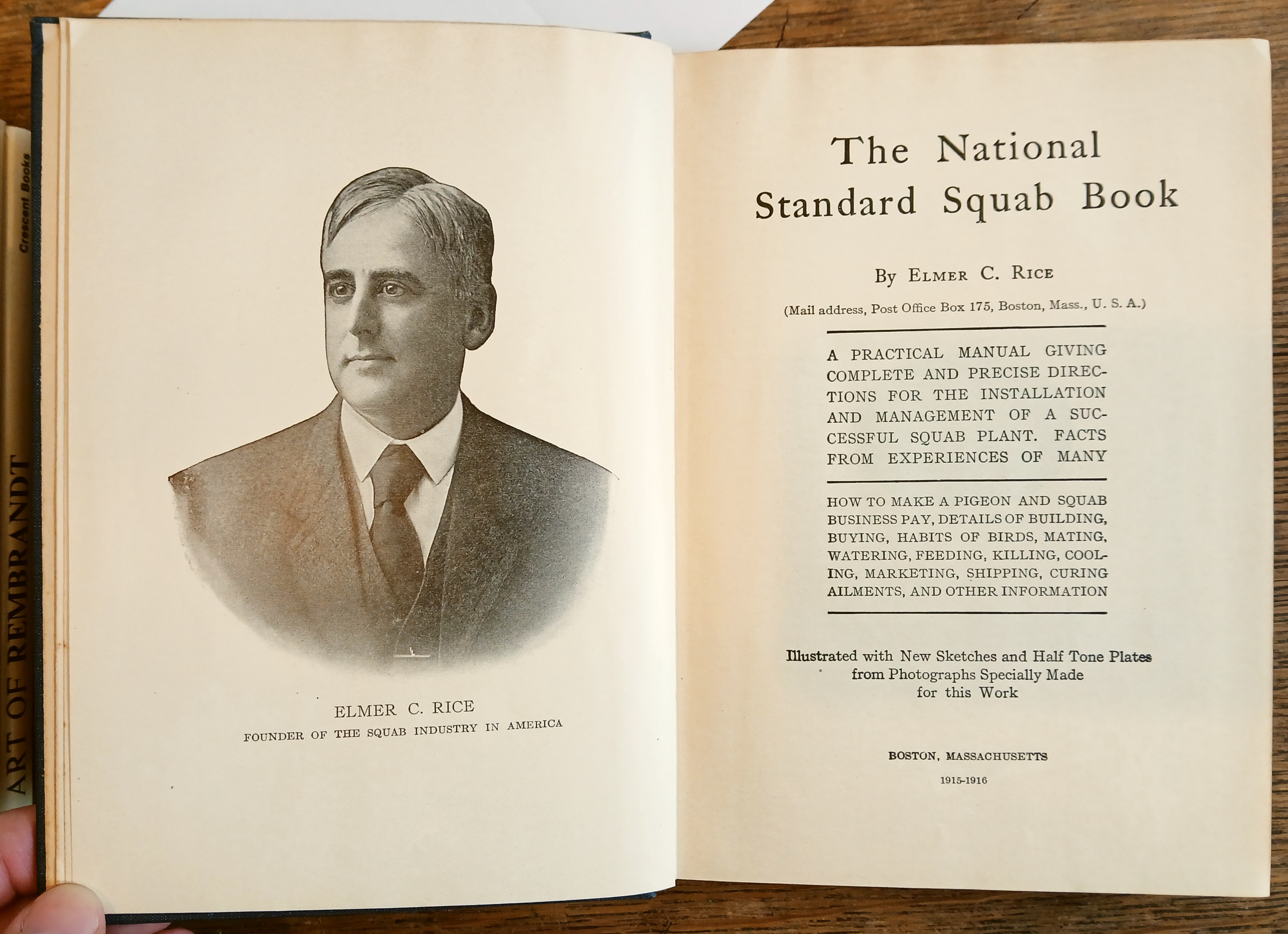 The National Standard Squab Book