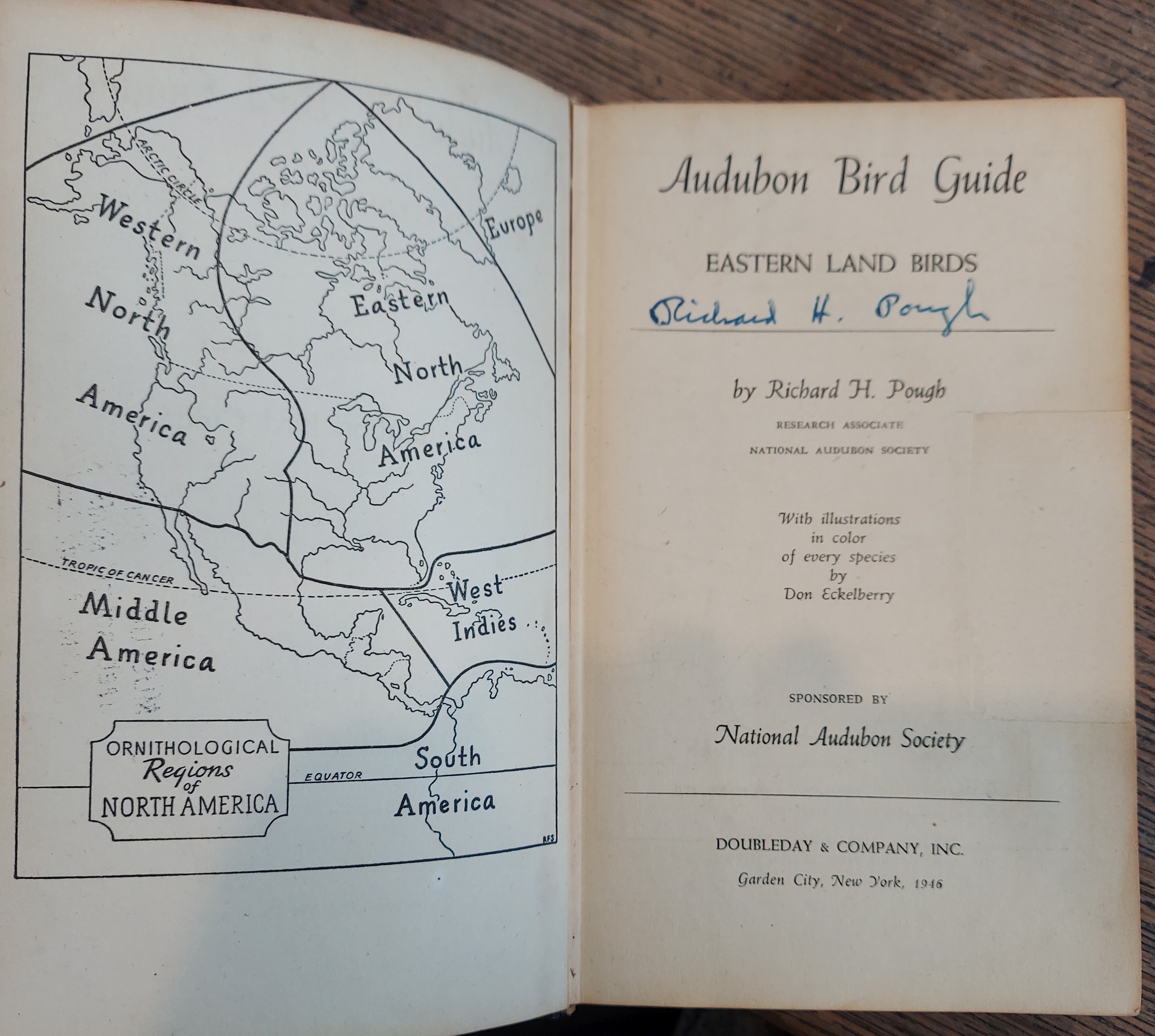 Audubon Bird Guide : Small Land Birds of Eastern and Central North American