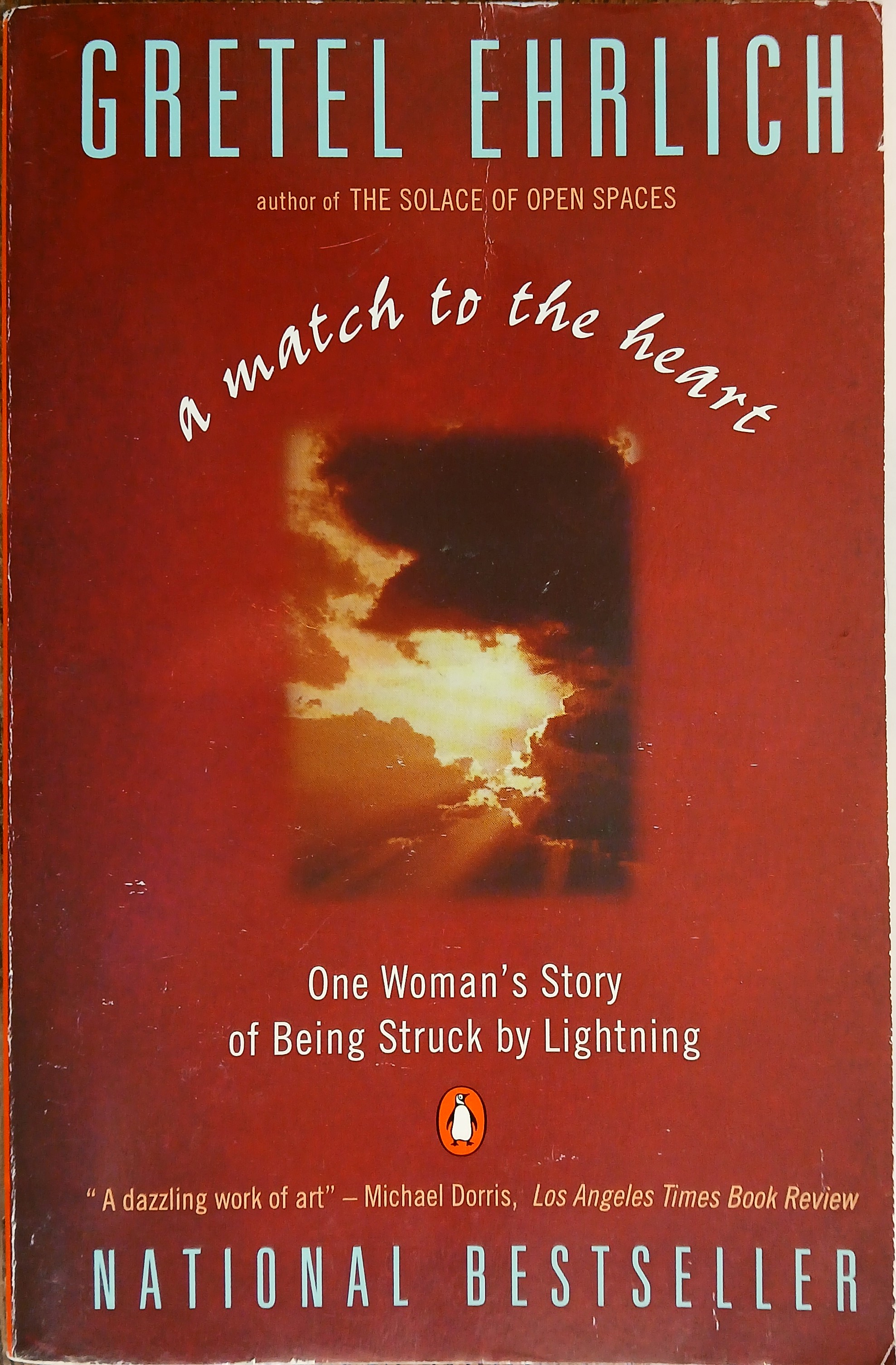 A Match to the Heart: One Woman's Story of Being Struck By Lightning