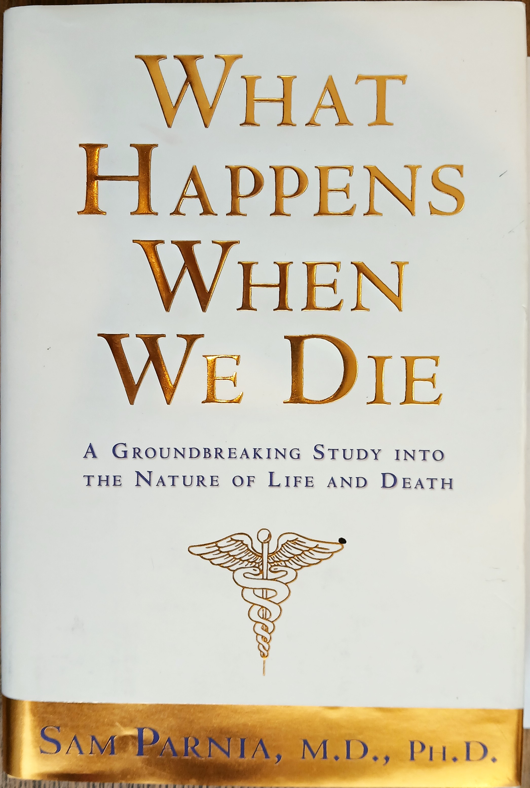 What Happens When We Die: A Groundbreaking Study into the Nature of Life and Death