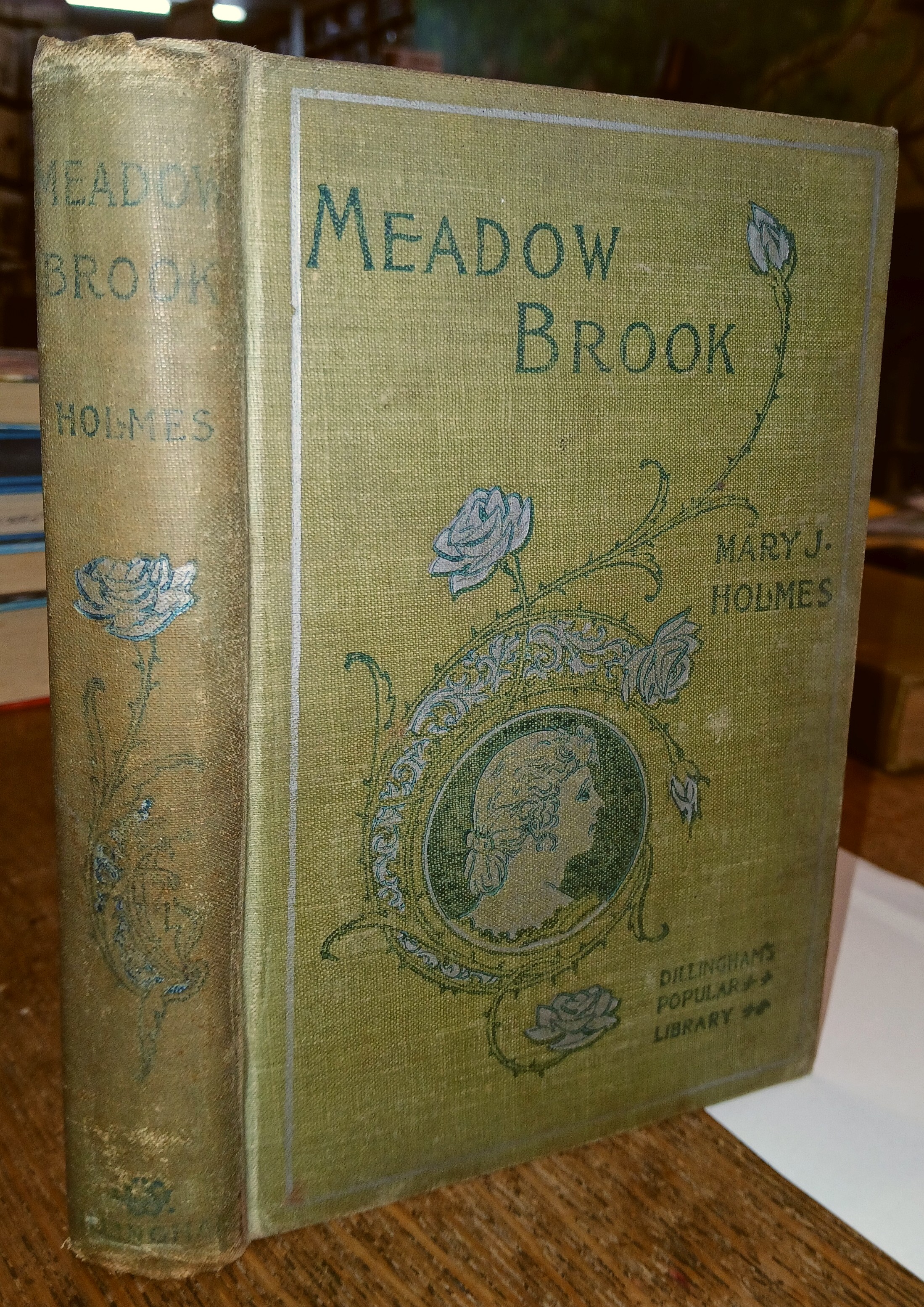 Meadow Brook (Dillingham's Popular Library)