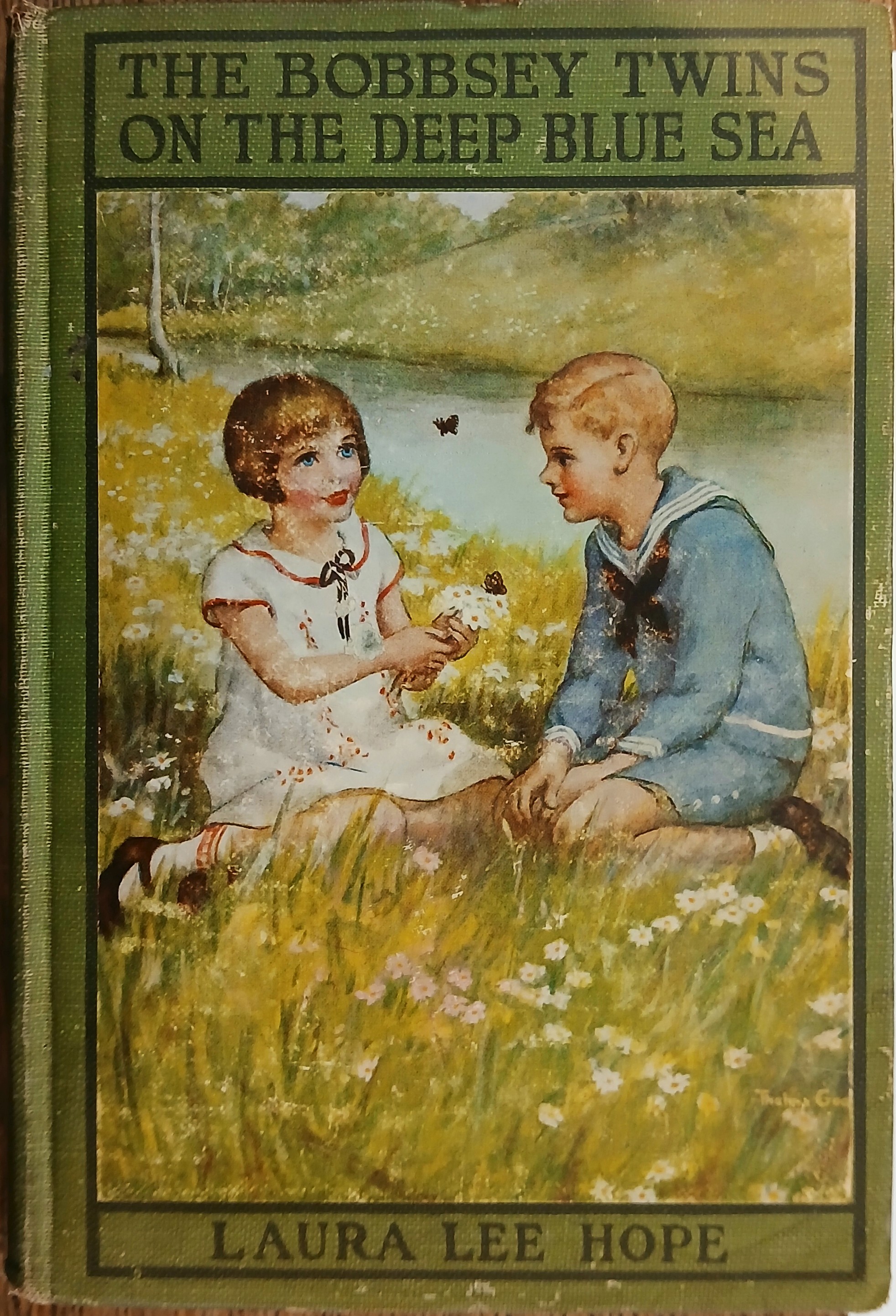 The Bobbsey Twins on the Deep Blue Sea