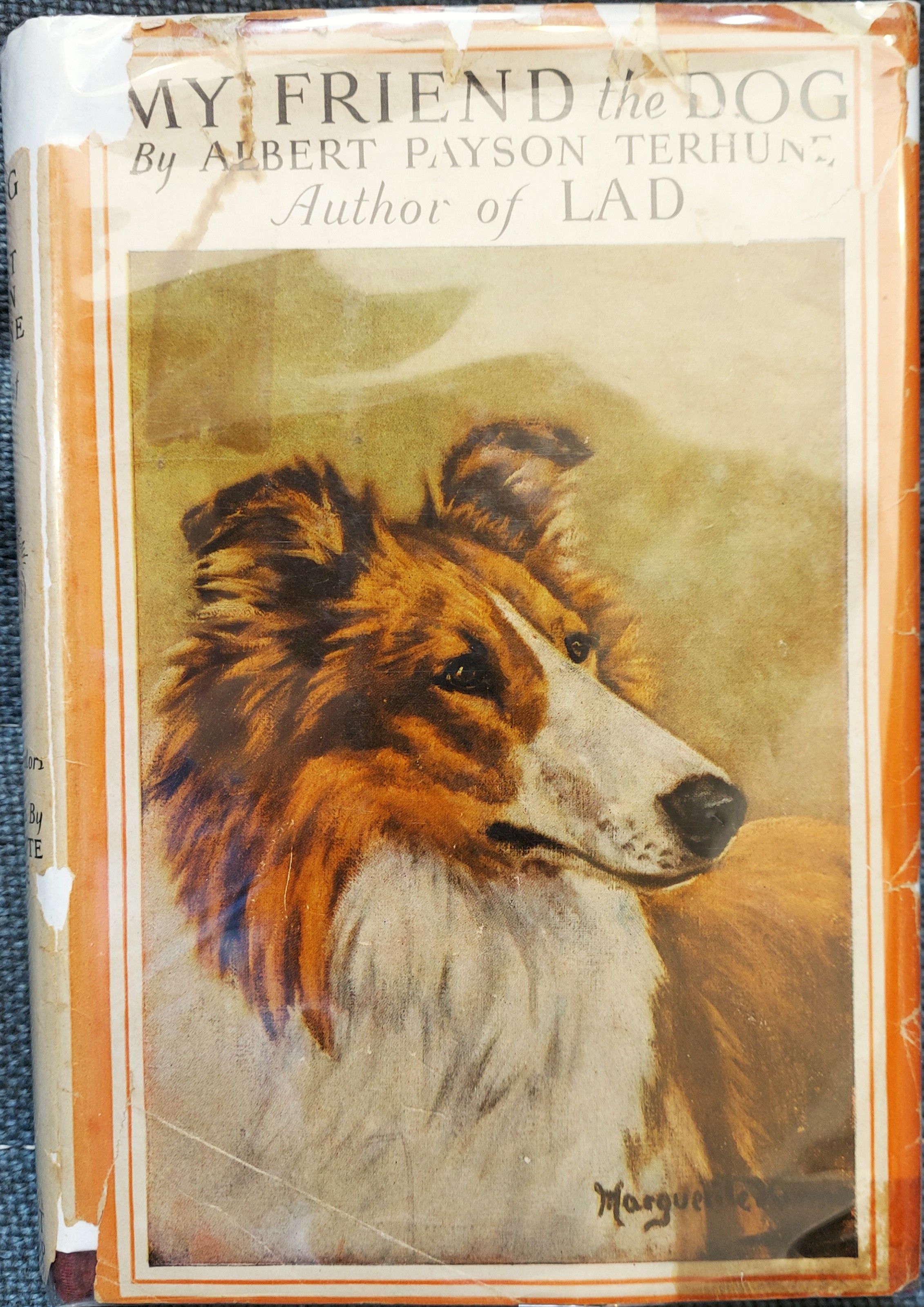 My Friend the Dog
