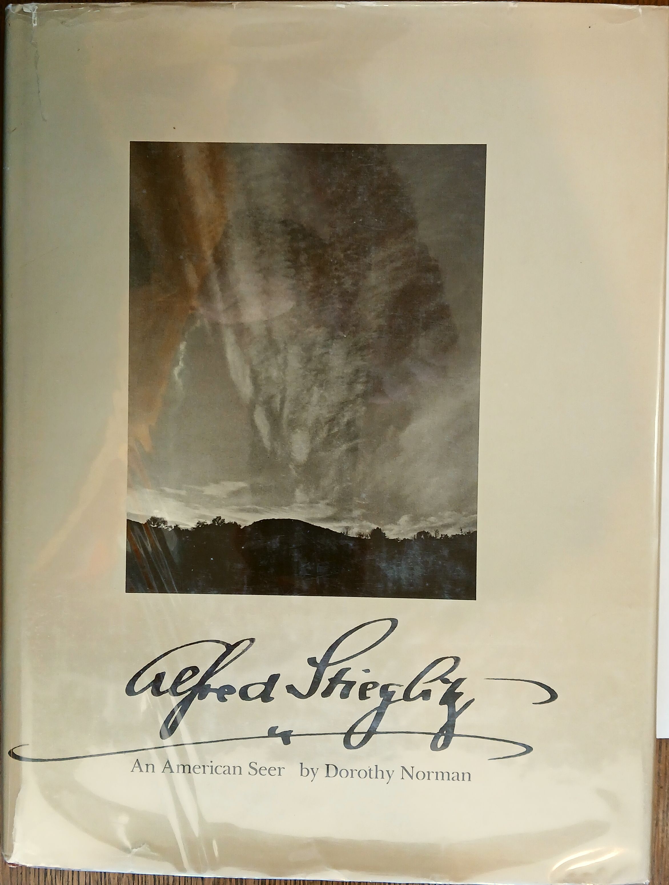 Alfred Stieglitz : An American Seer