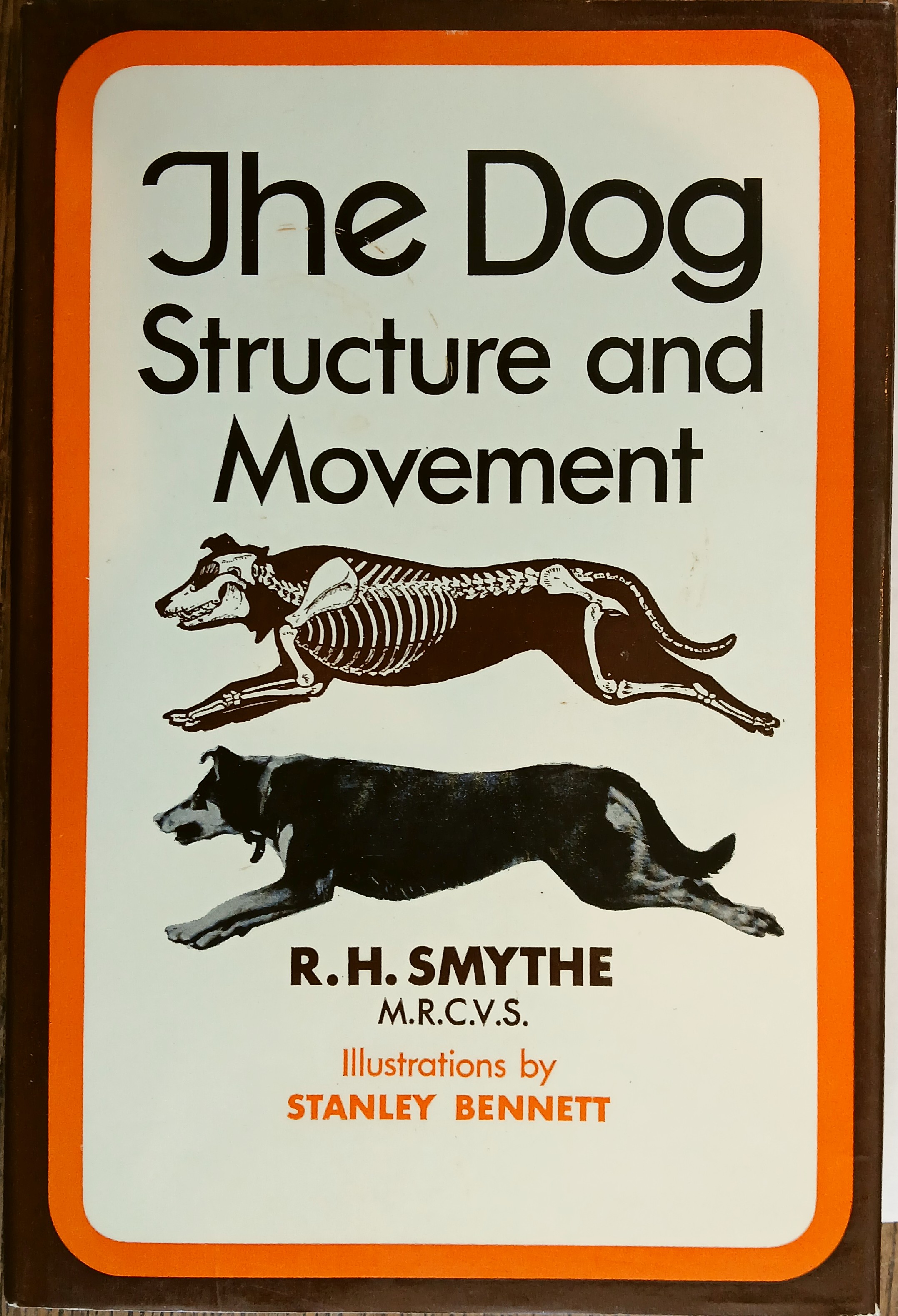 The Dog: Structure and Movement