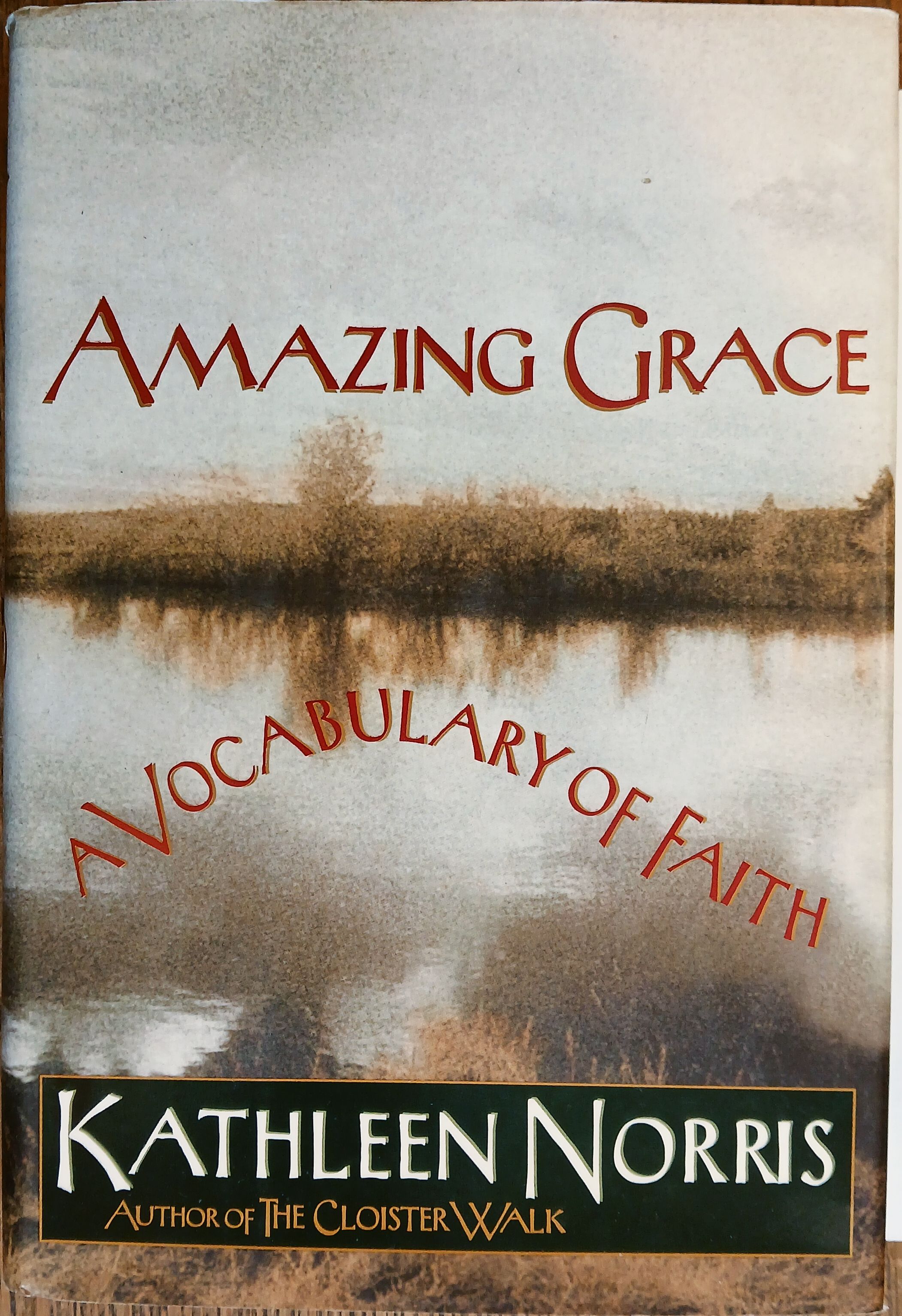 Amazing Grace : A Vocabulary of Faith