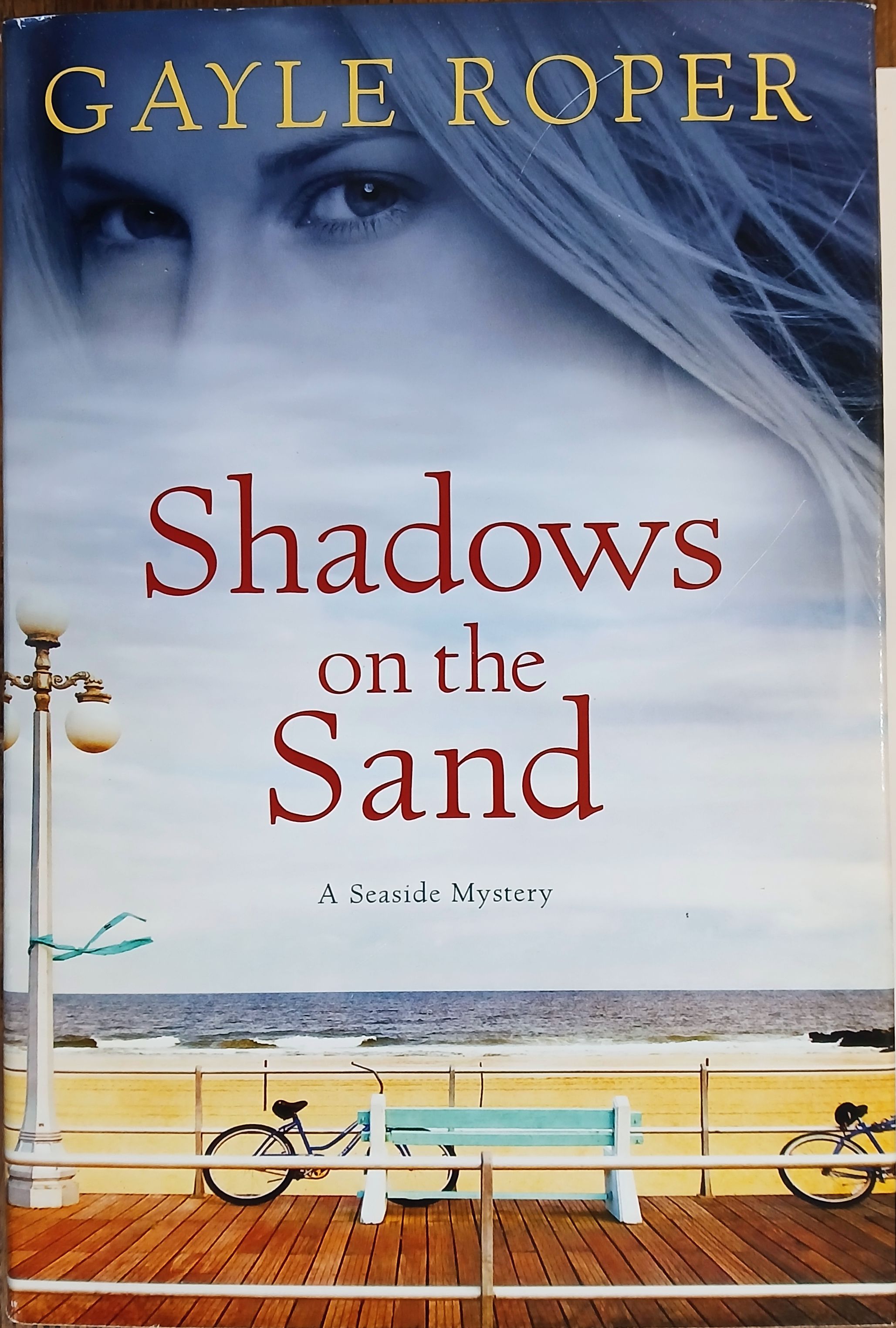 Shadows on the Sand (A Seaside Mystery)