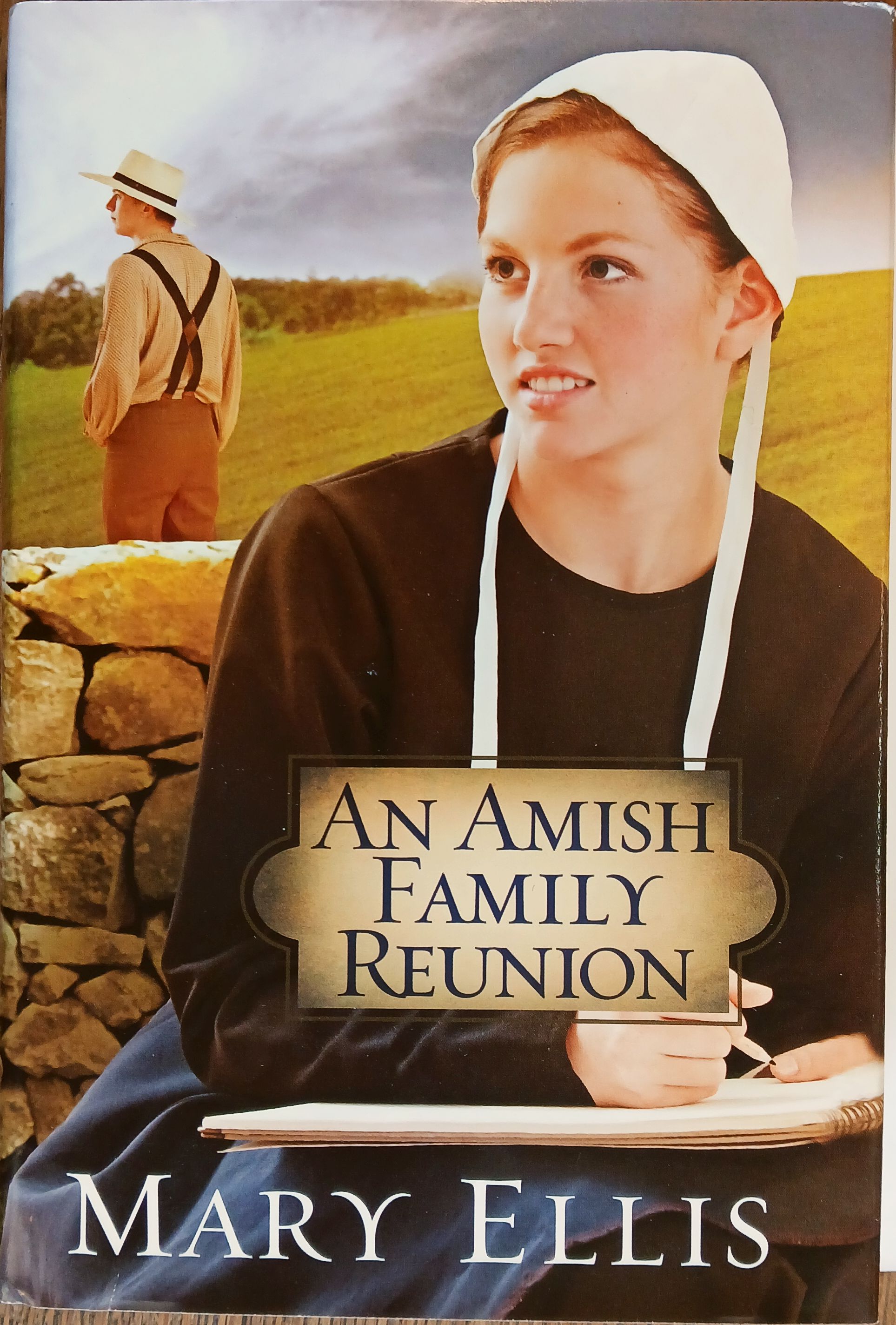 An Amish Family Reunion