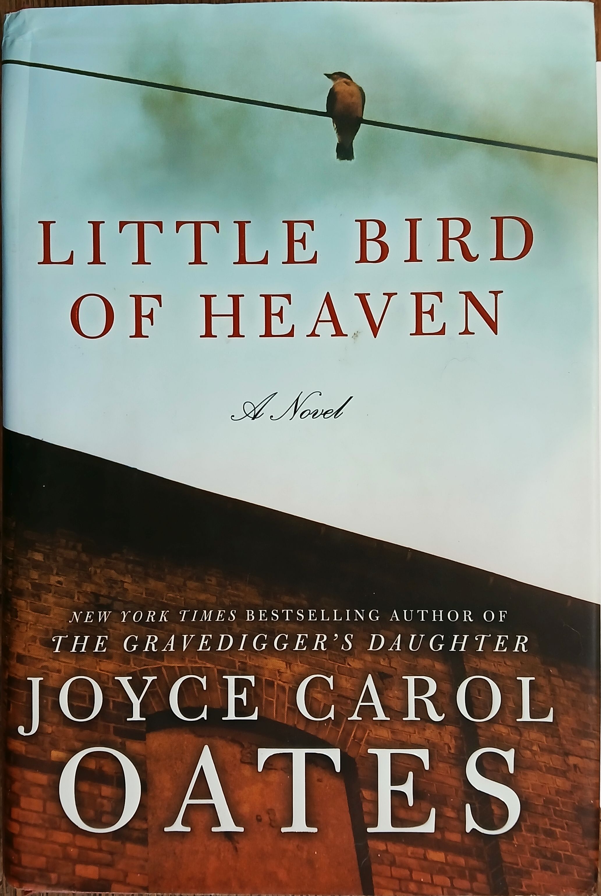Little Bird of Heaven