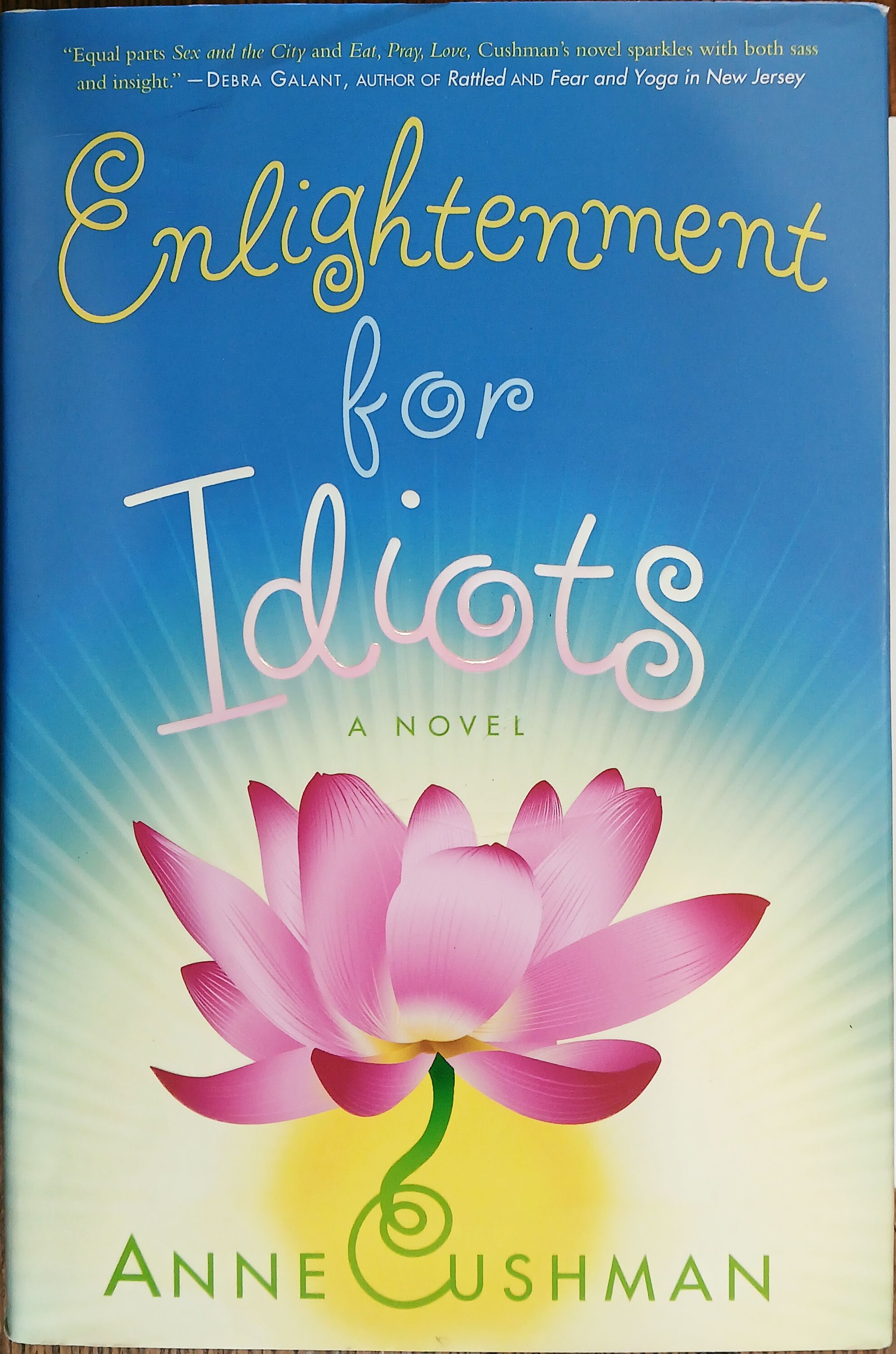 Enlightenment for Idiots