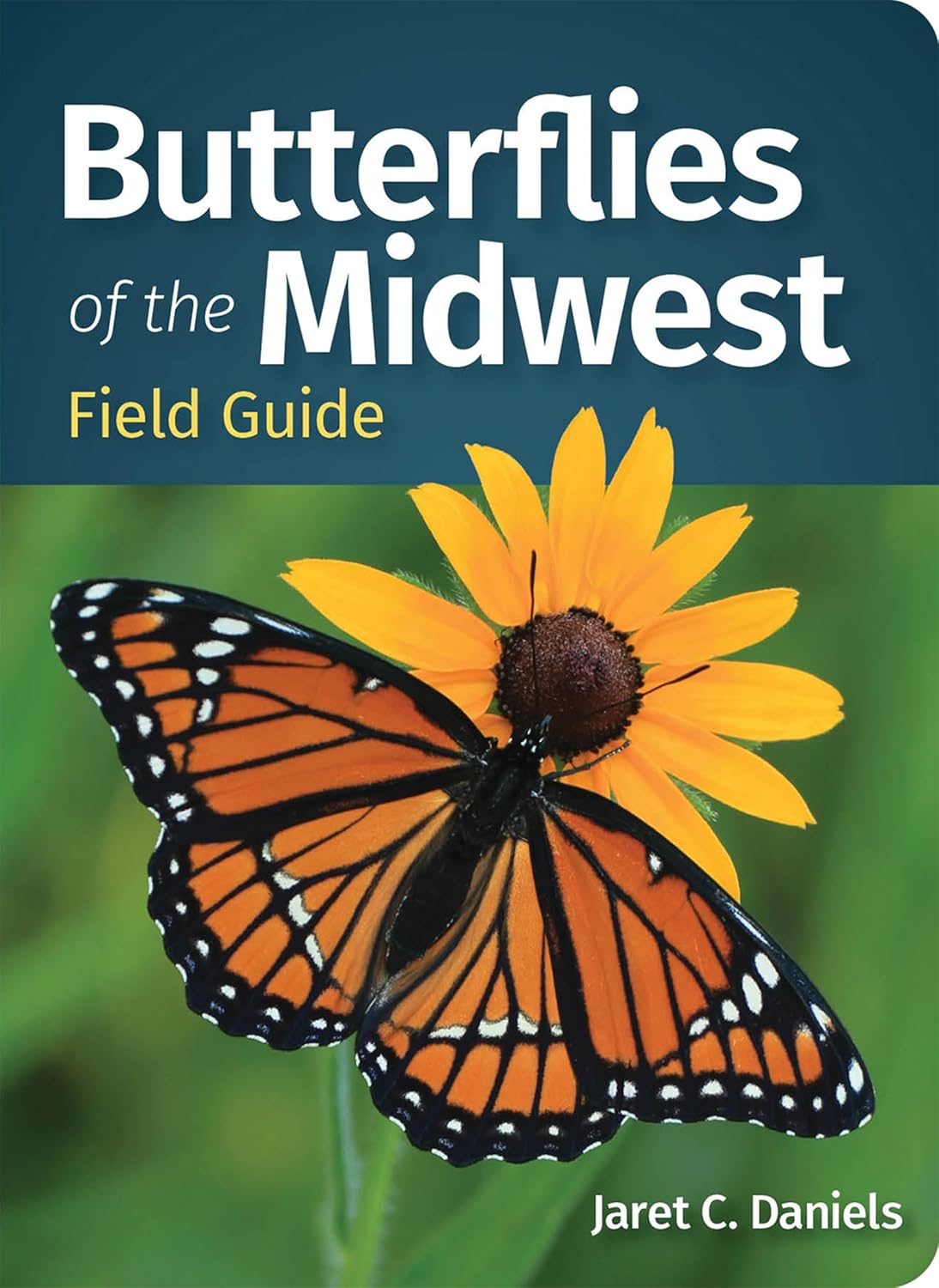 Butterflies of the Midwest (Field Guide)