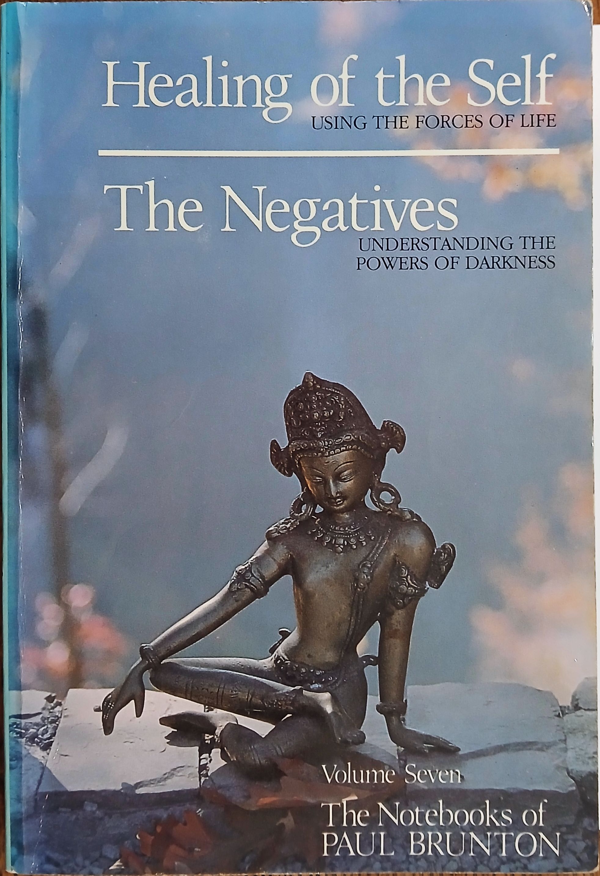 Healing of the Self: The Negatives (The Notebooks of Paul Brunton Volume 7)