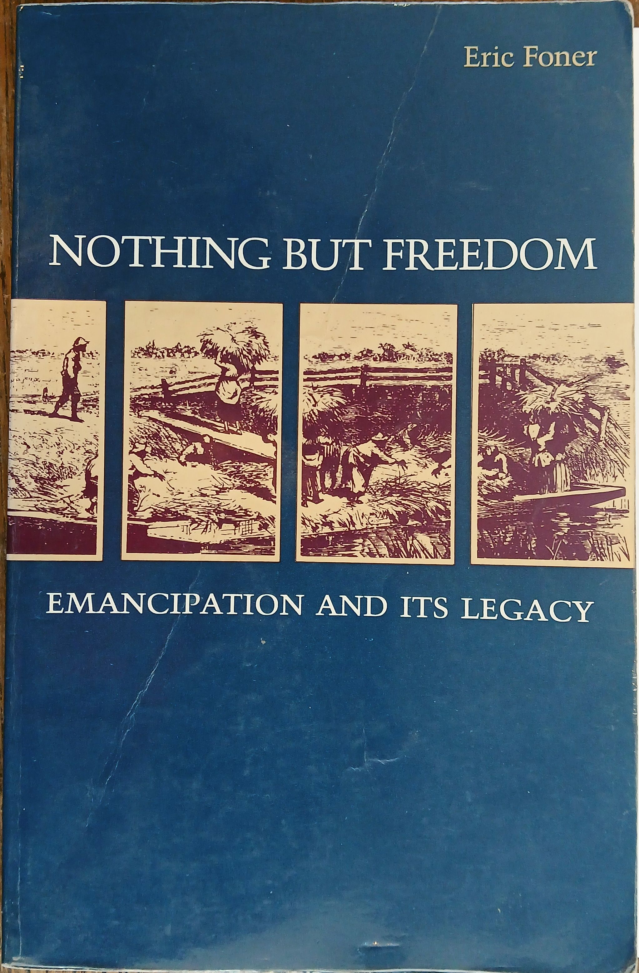 Nothing but Freedom: Emancipation and Its Legacy