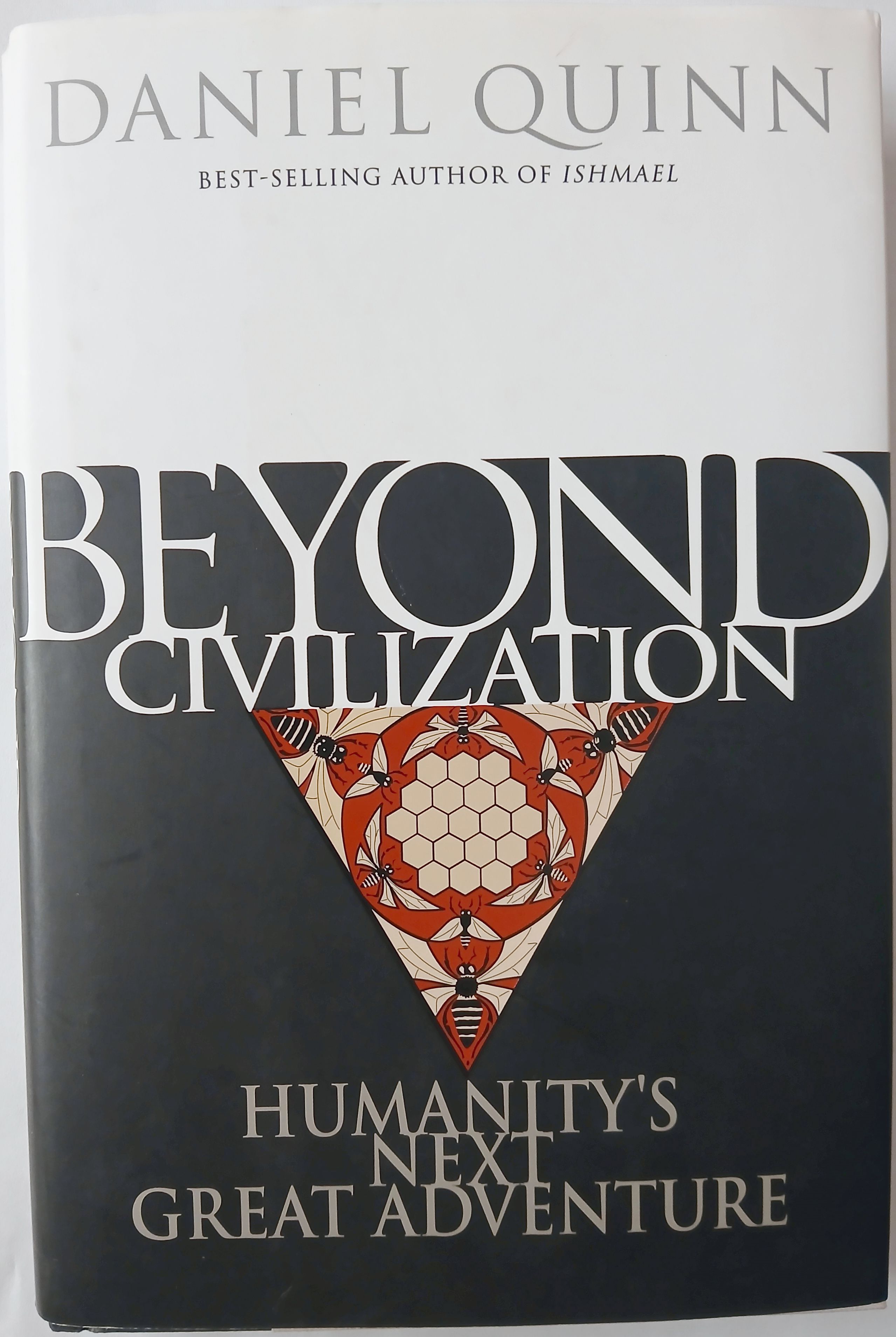 Beyond Civilization